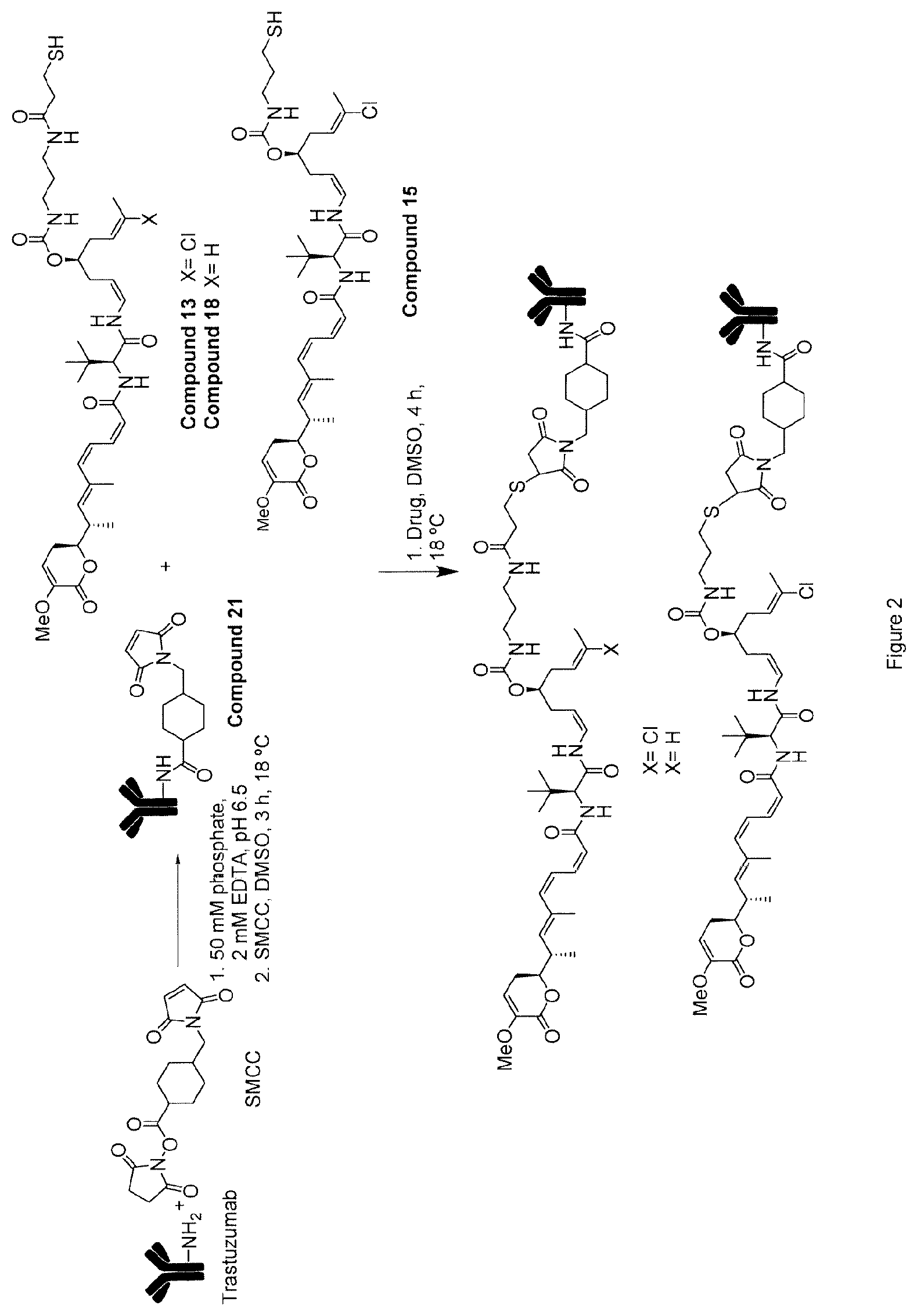 Patent US12410148 Figure 2 – Antibody drug conjugates