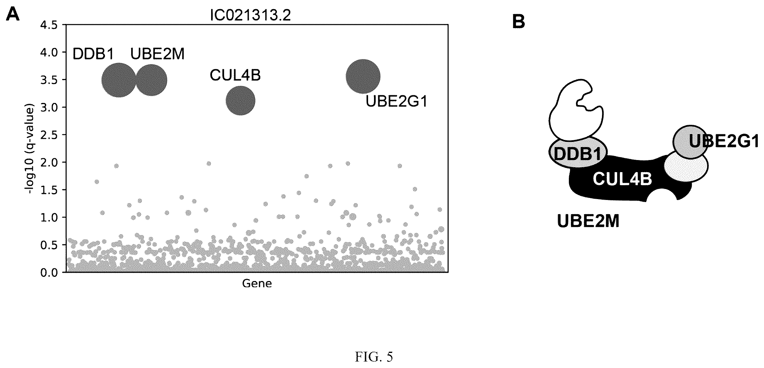 Patent US12410152 Figure 5 – Oxazole and thioazole-type cullin ring ubiquitin ligase compounds and uses thereof