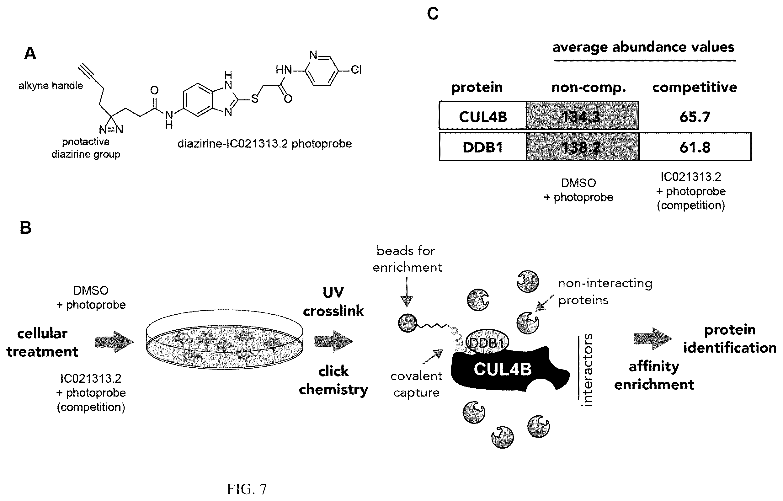 Patent US12410152 Figure 7 – Oxazole and thioazole-type cullin ring ubiquitin ligase compounds and uses thereof