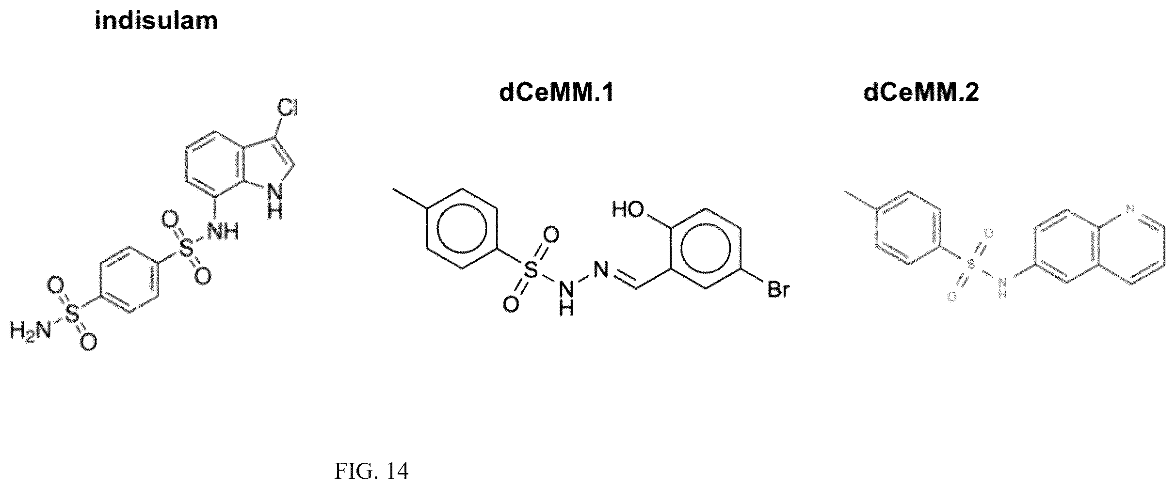 Patent US12410152 Figure 16 – Oxazole and thioazole-type cullin ring ubiquitin ligase compounds and uses thereof