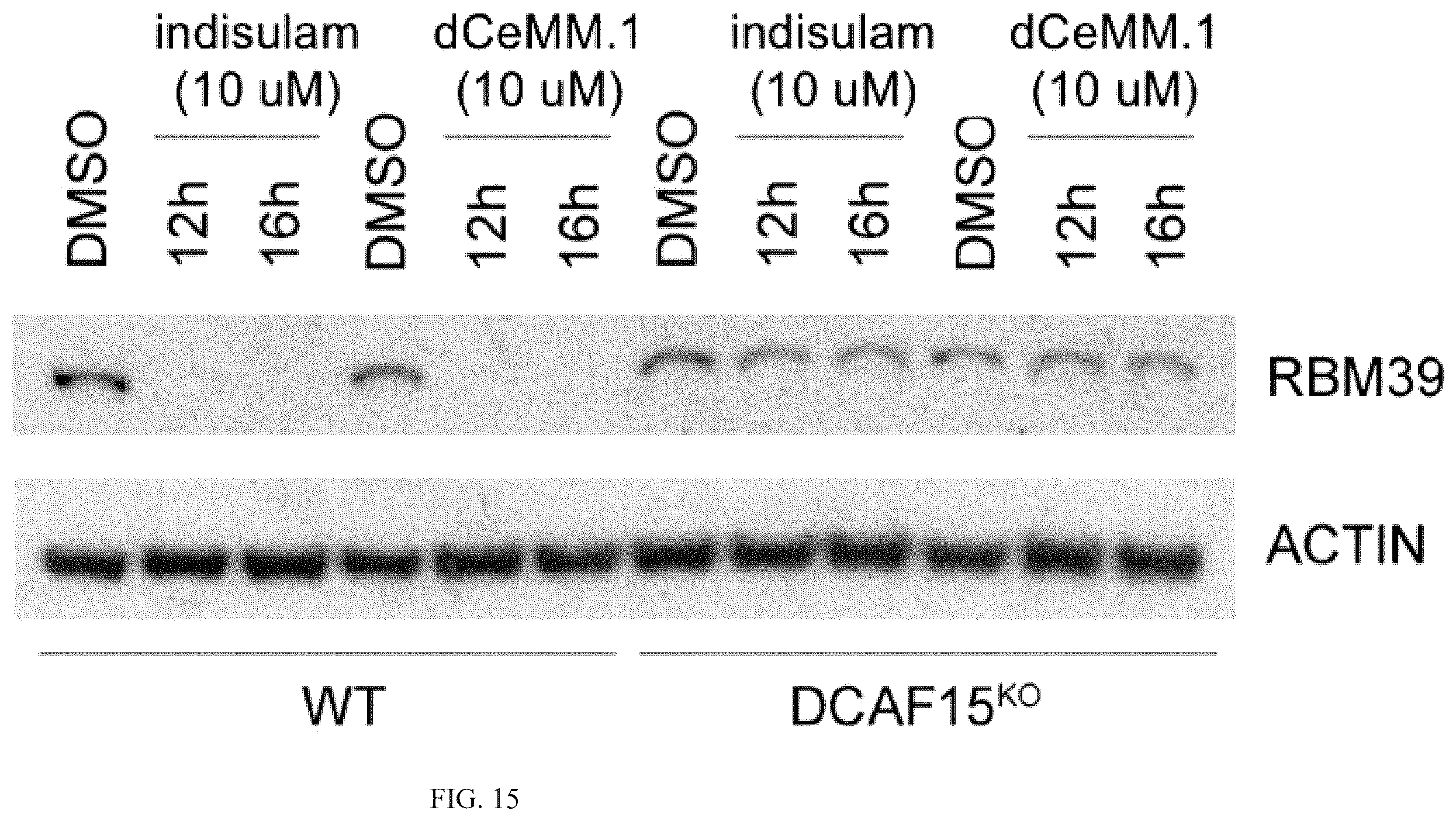 Patent US12410152 Figure 17 – Oxazole and thioazole-type cullin ring ubiquitin ligase compounds and uses thereof