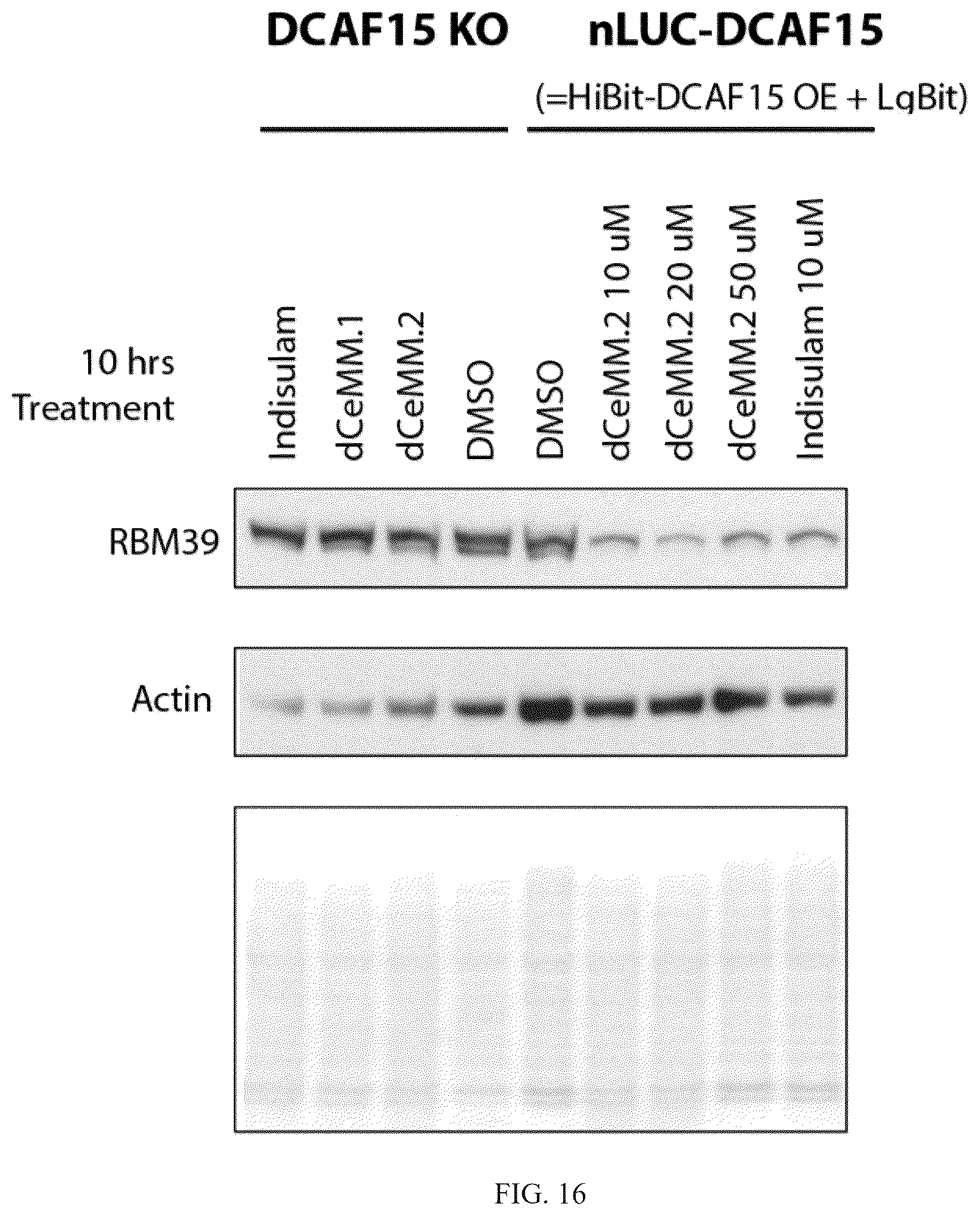 Patent US12410152 Figure 18 – Oxazole and thioazole-type cullin ring ubiquitin ligase compounds and uses thereof
