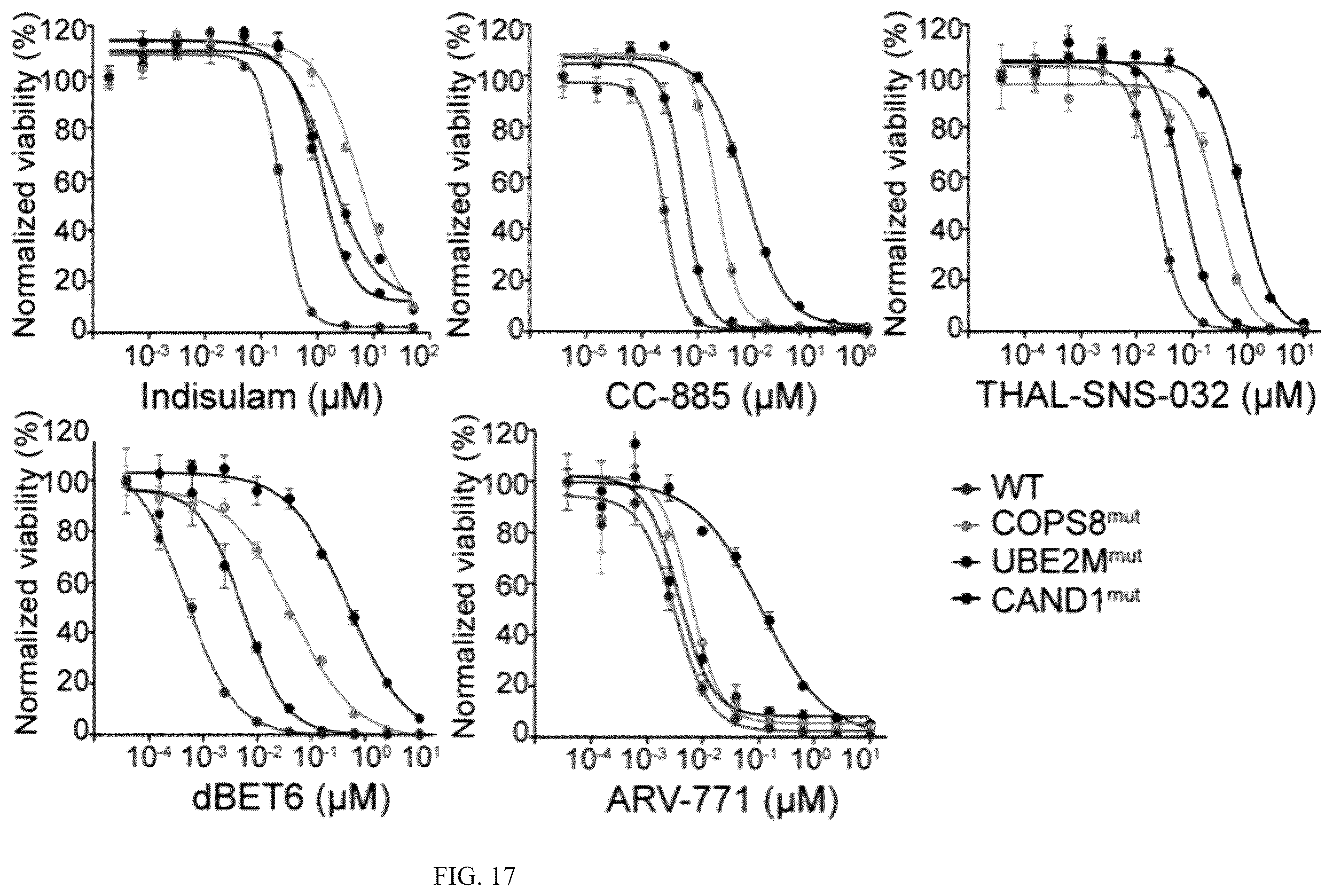 Patent US12410152 Figure 19 – Oxazole and thioazole-type cullin ring ubiquitin ligase compounds and uses thereof