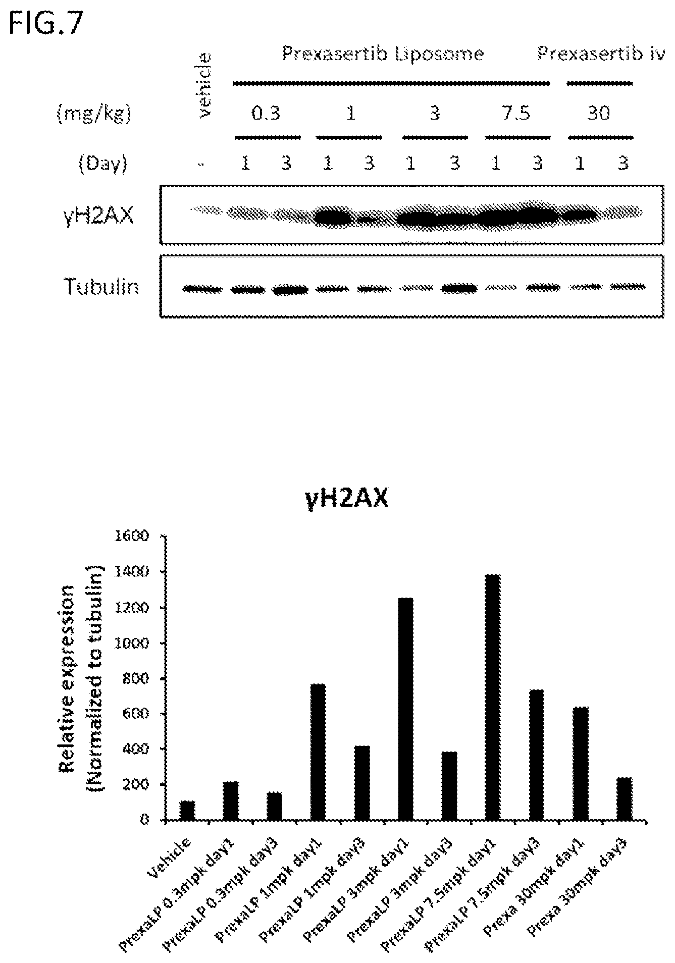Patent US12410154 Figure 3 – 5-heteroaryl-1H-pyrazol-3-amine derivative