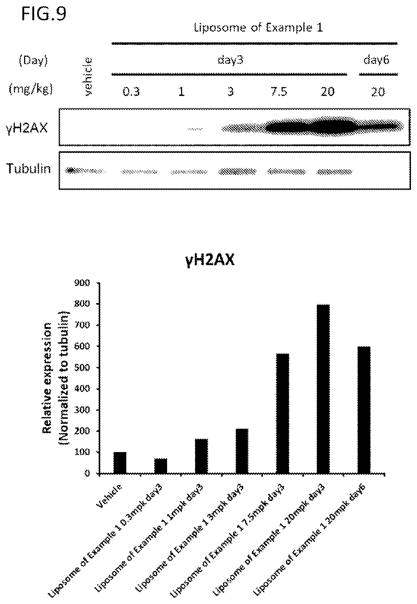 Patent US12410154 Figure 5 – 5-heteroaryl-1H-pyrazol-3-amine derivative