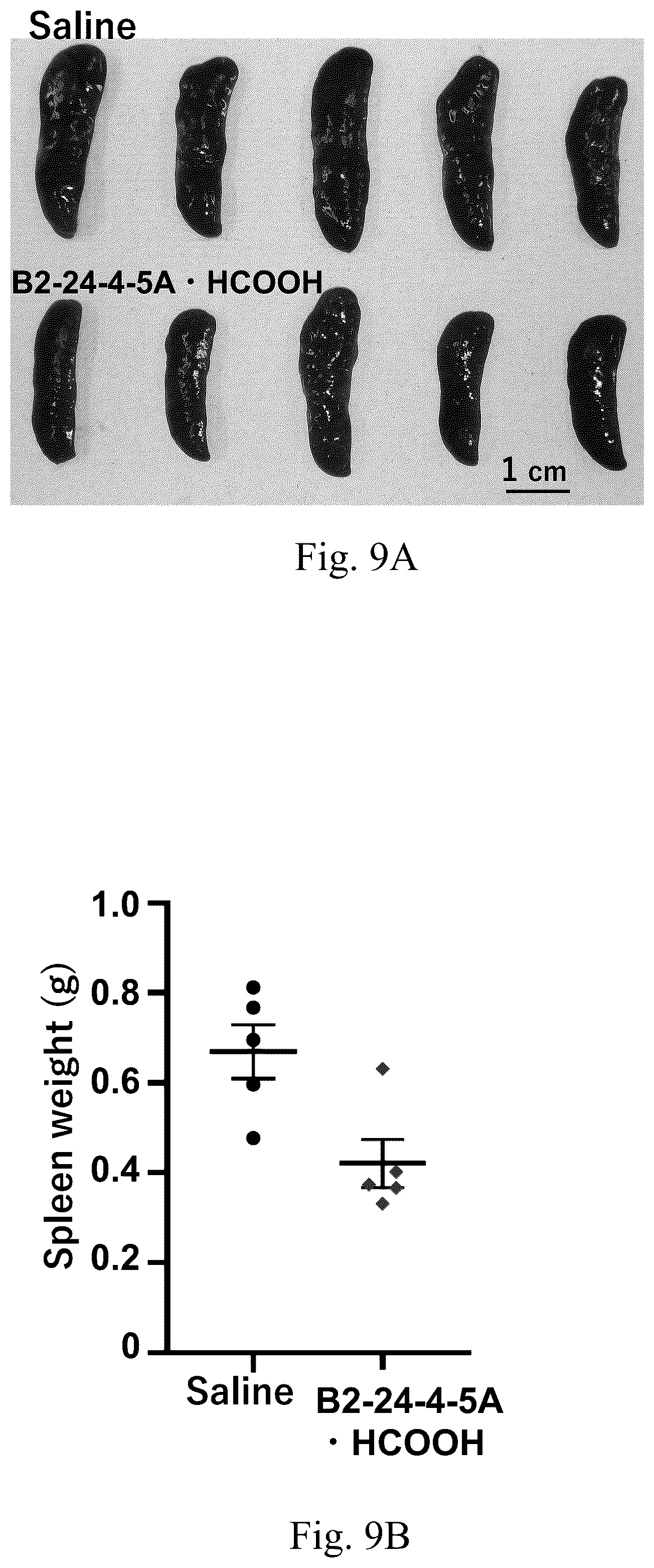 Patent US12410157 Figure 6 – Compound useful as toll-like receptor 7 activation inhibitor
