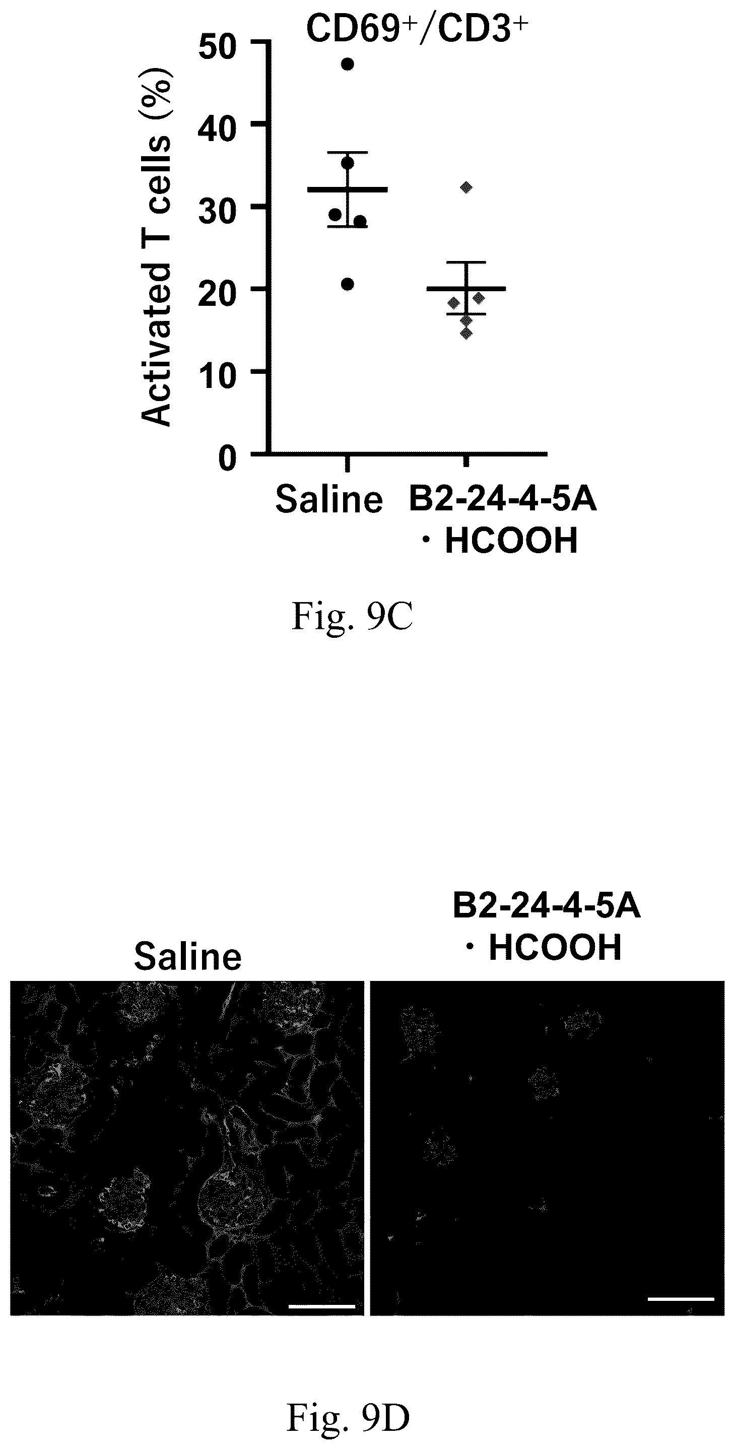 Patent US12410157 Figure 7 – Compound useful as toll-like receptor 7 activation inhibitor