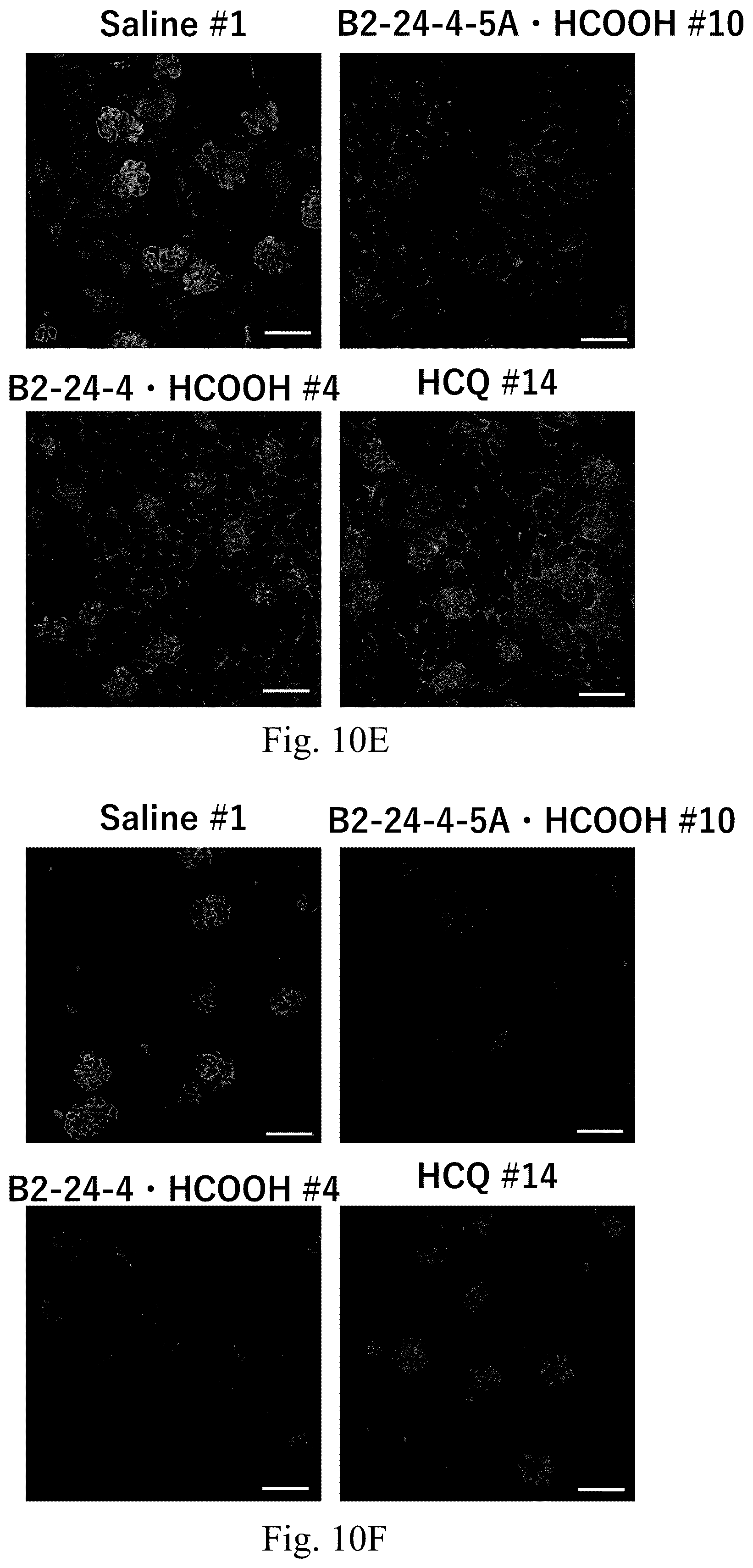 Patent US12410157 Figure 10 – Compound useful as toll-like receptor 7 activation inhibitor