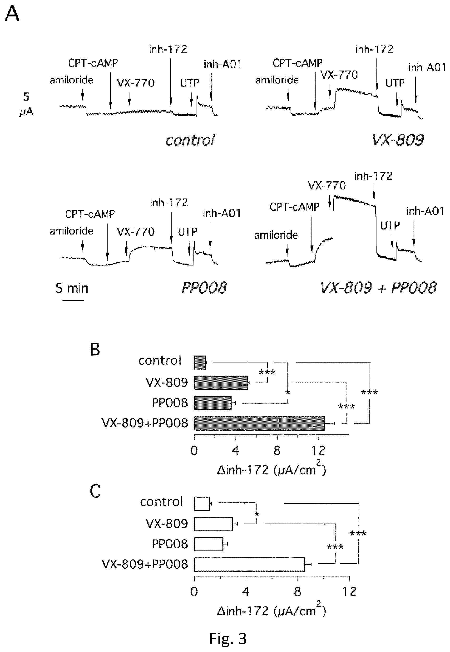 Patent US12410164 Figure 2 – Heterocyclic compounds and medical use thereof