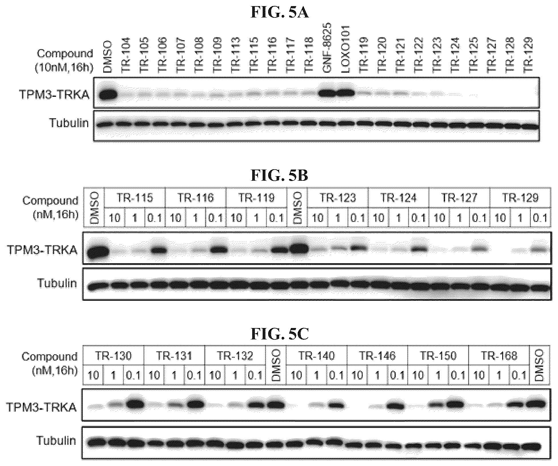 Patent US12410171 Figure 5 – Tropomyosin receptor kinase (TRK) degradation compounds and methods of use