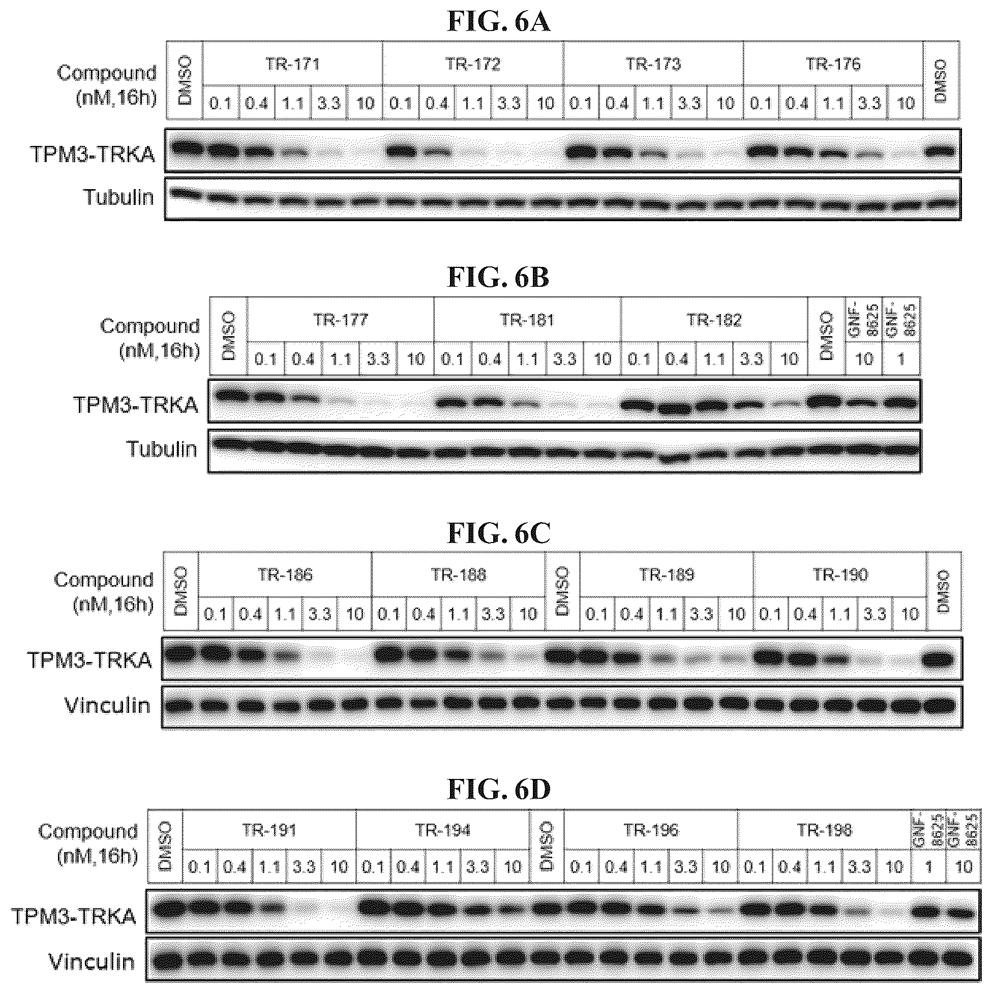 Patent US12410171 Figure 6 – Tropomyosin receptor kinase (TRK) degradation compounds and methods of use