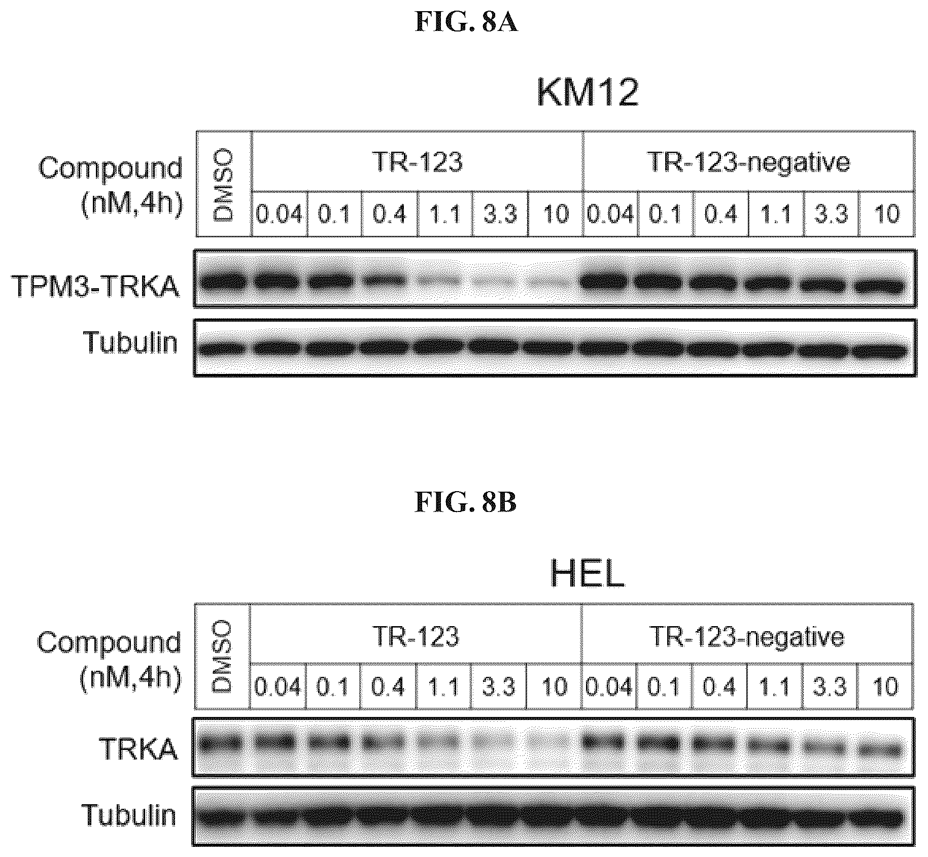 Patent US12410171 Figure 8 – Tropomyosin receptor kinase (TRK) degradation compounds and methods of use