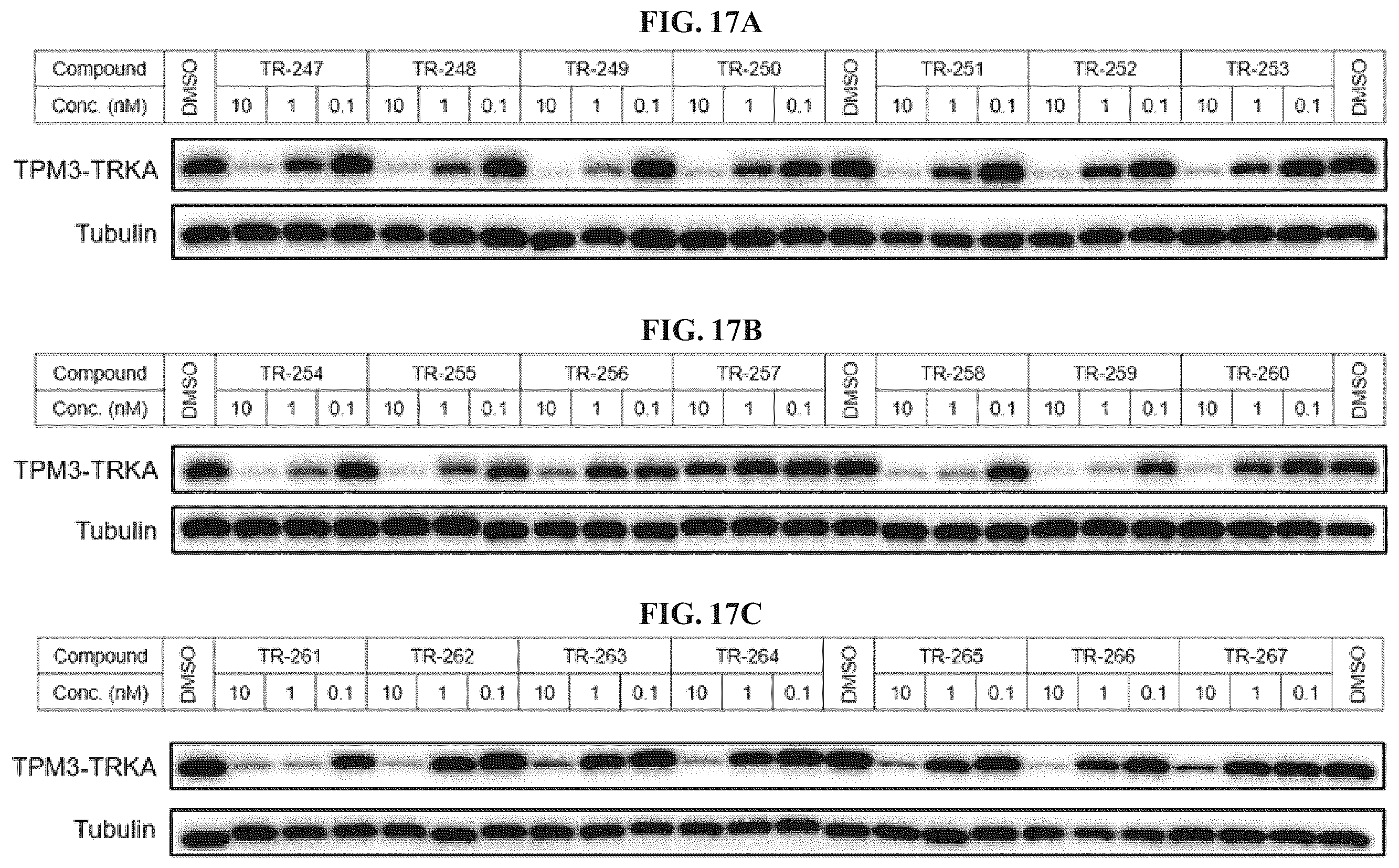 Patent US12410171 Figure 17 – Tropomyosin receptor kinase (TRK) degradation compounds and methods of use