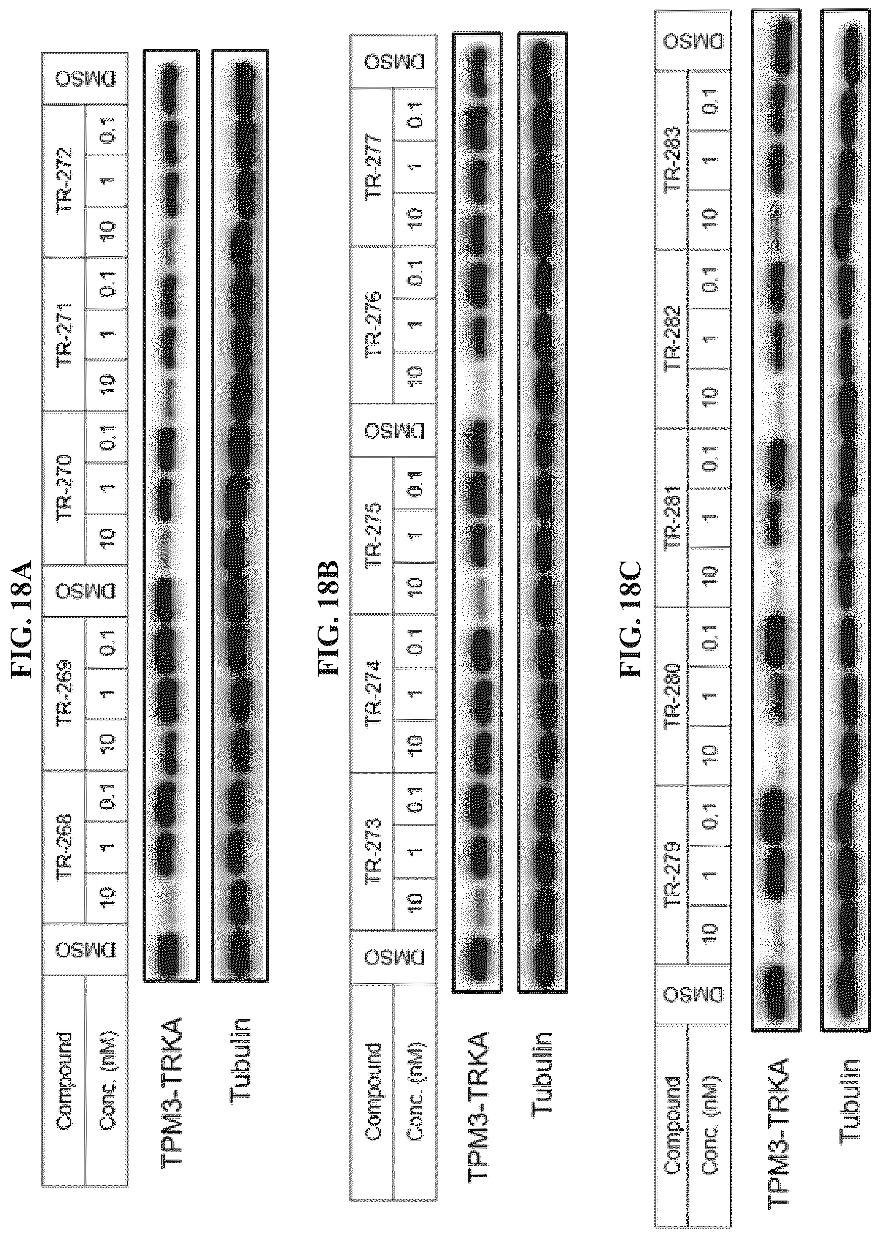 Patent US12410171 Figure 18 – Tropomyosin receptor kinase (TRK) degradation compounds and methods of use