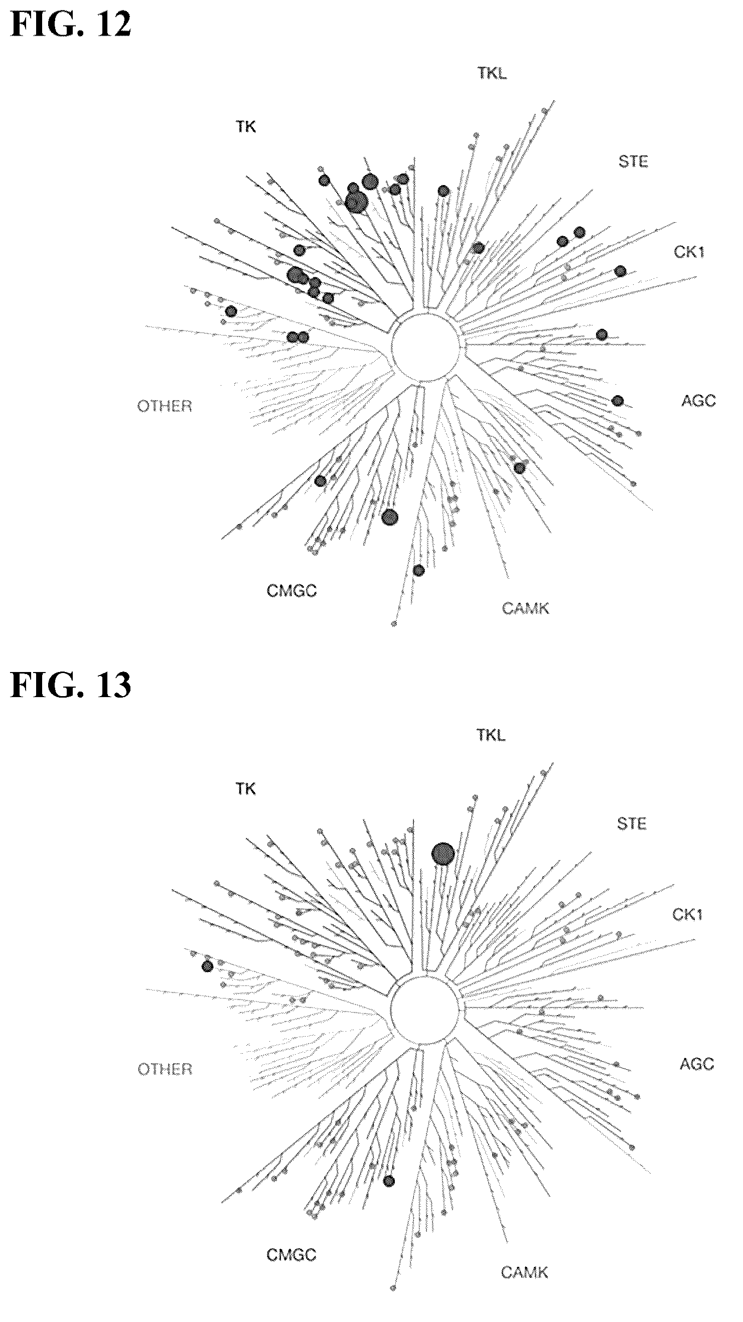 Patent US12410173 Figure 18 – Substituted pyrrolo[2,3-d]pyrimidines as inhibitors for multi-resistant cancers