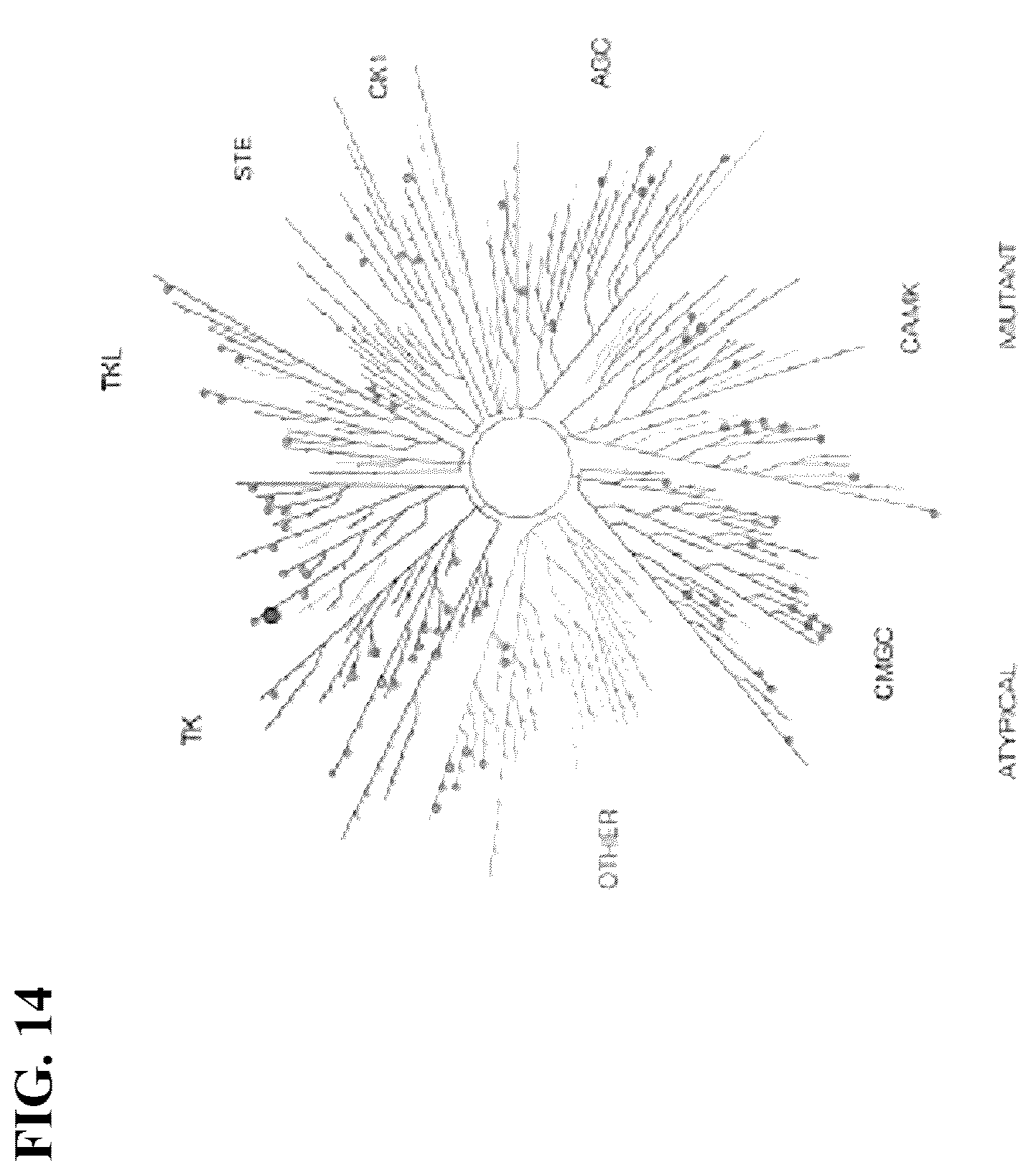 Patent US12410173 Figure 19 – Substituted pyrrolo[2,3-d]pyrimidines as inhibitors for multi-resistant cancers