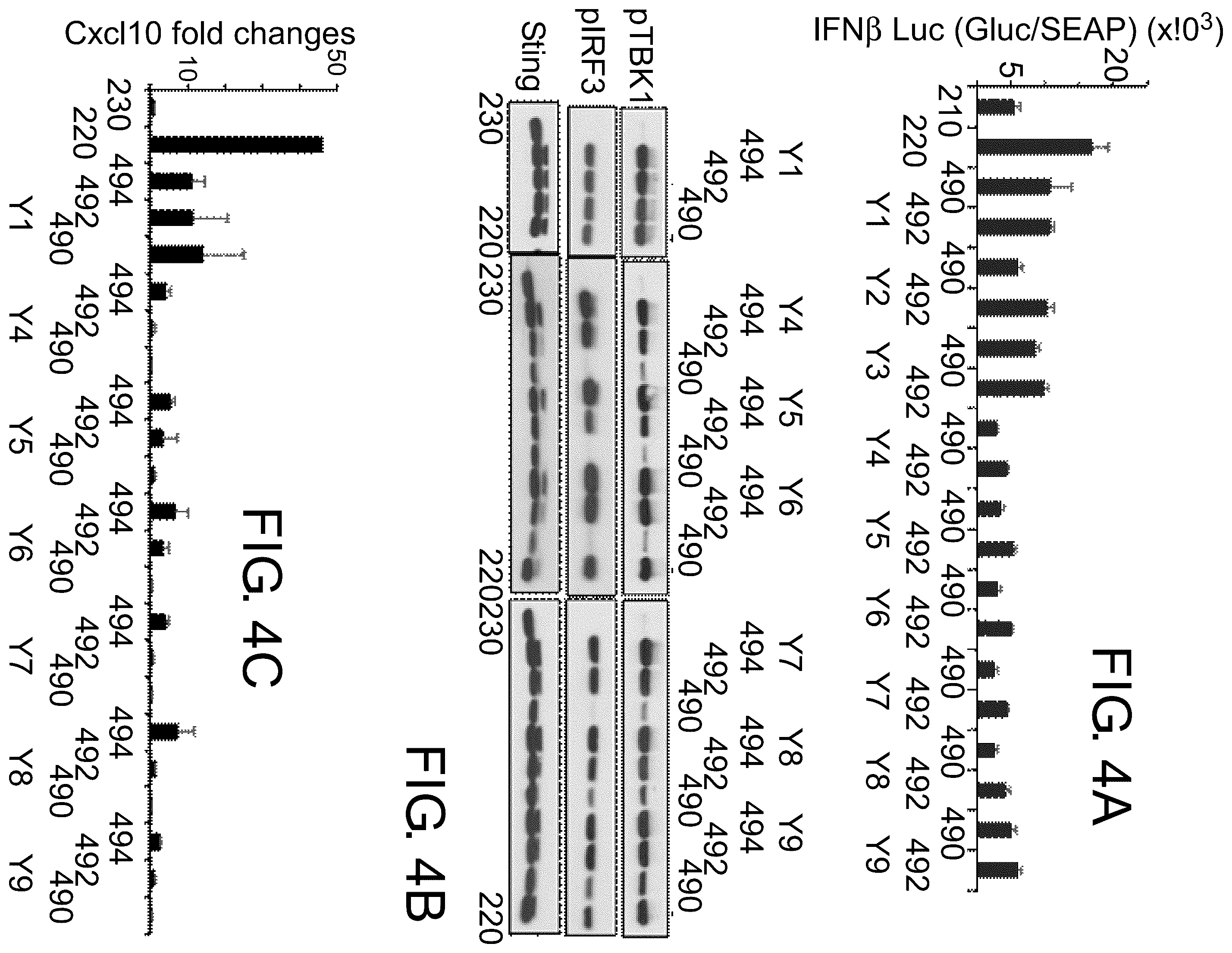 Patent US12410174 Figure 4 – Small molecular inhibitors of sting signaling compositions and methods of use