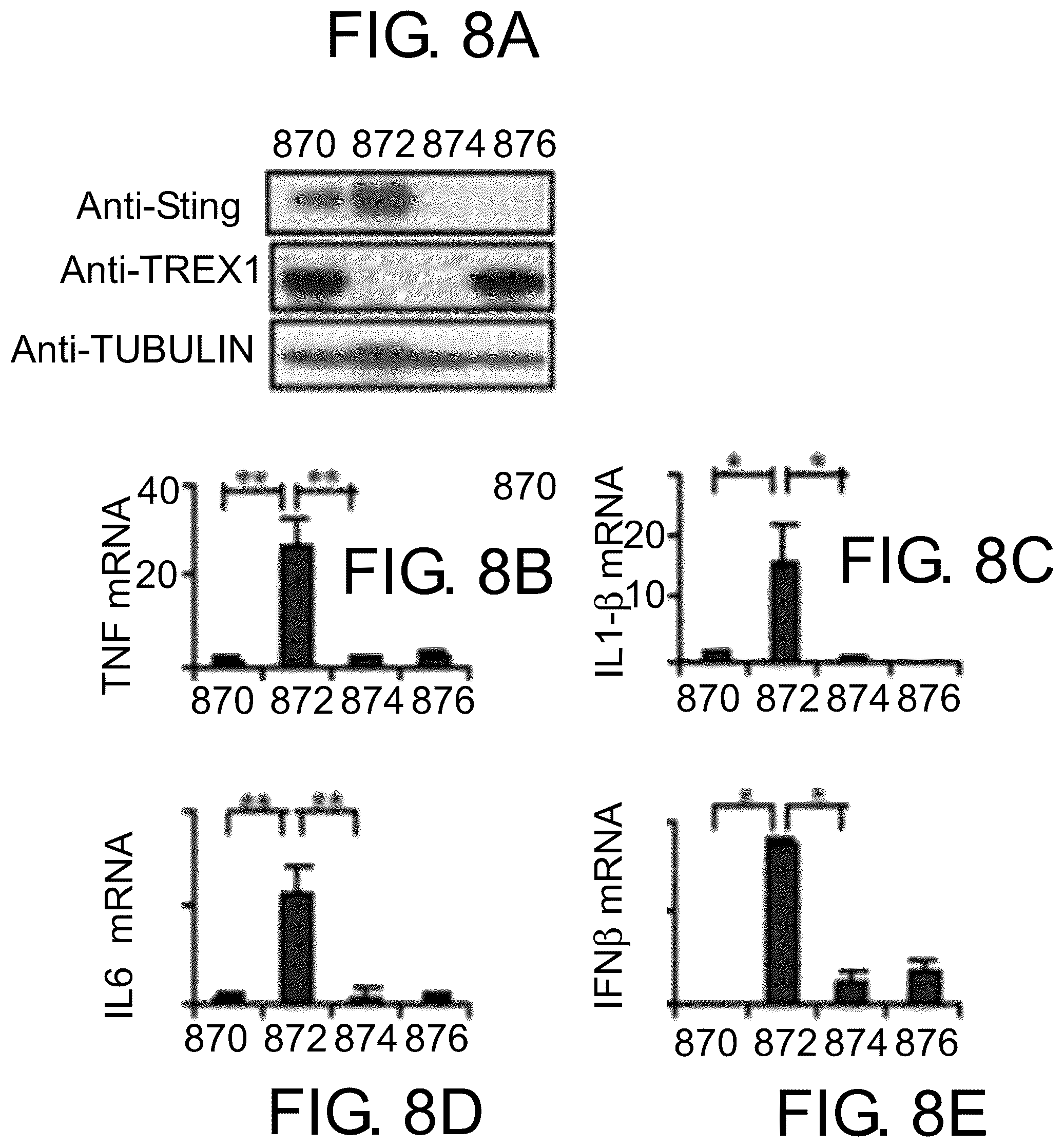 Patent US12410174 Figure 9 – Small molecular inhibitors of sting signaling compositions and methods of use
