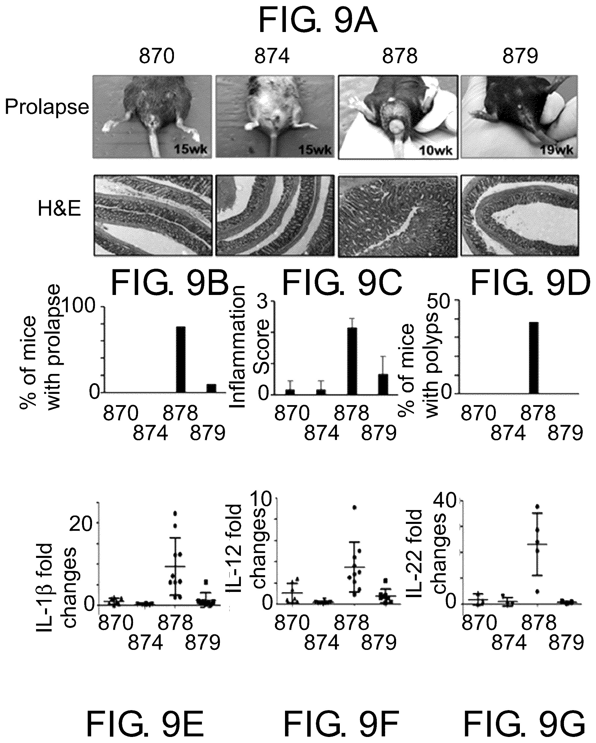 Patent US12410174 Figure 10 – Small molecular inhibitors of sting signaling compositions and methods of use