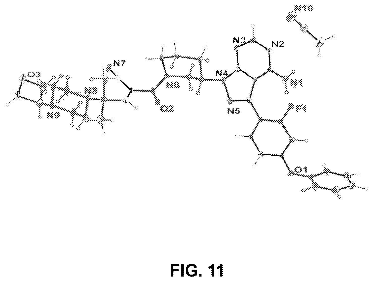 Patent US12410176 Figure 14 – Crystalline forms of 2-[3-[4-amino-3-(2-fluoro-4-phenoxy-phenyl)-1H-pyrazolo[3,4-d]pyrimidin-1-yl]piperidine-1-carbonyl]-4-methyl-4-[4-(oxetan-3-yl)piperazin-1-yl]pent-2-enenitrile