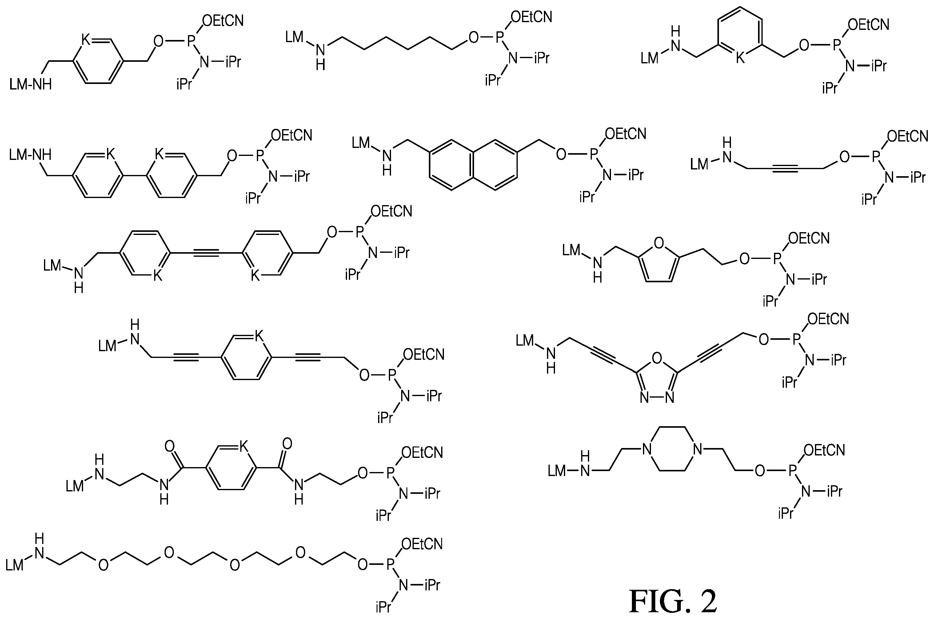 Patent US12410181 Figure 2 – Modified rhodamine dye and use thereof in biological assays