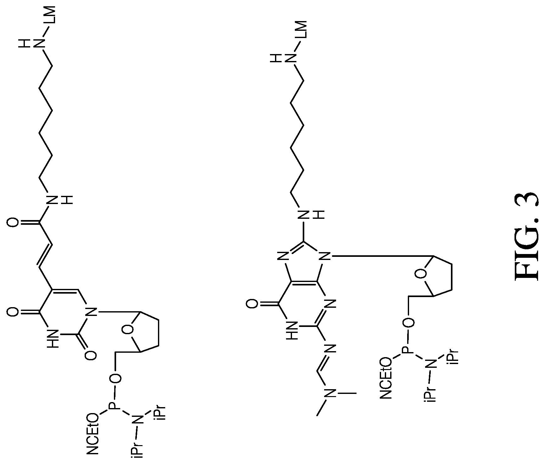 Patent US12410181 Figure 3 – Modified rhodamine dye and use thereof in biological assays