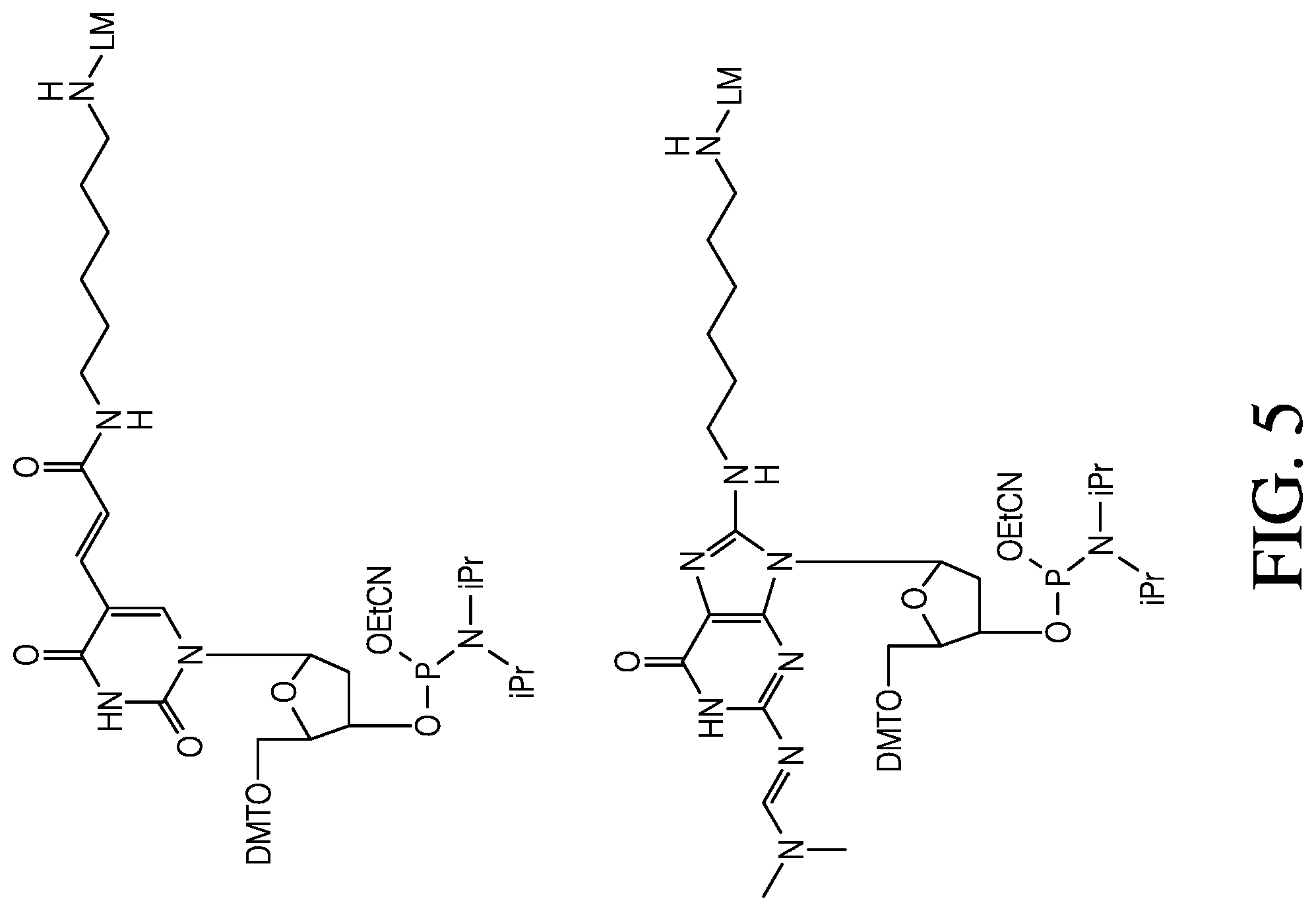 Patent US12410181 Figure 5 – Modified rhodamine dye and use thereof in biological assays