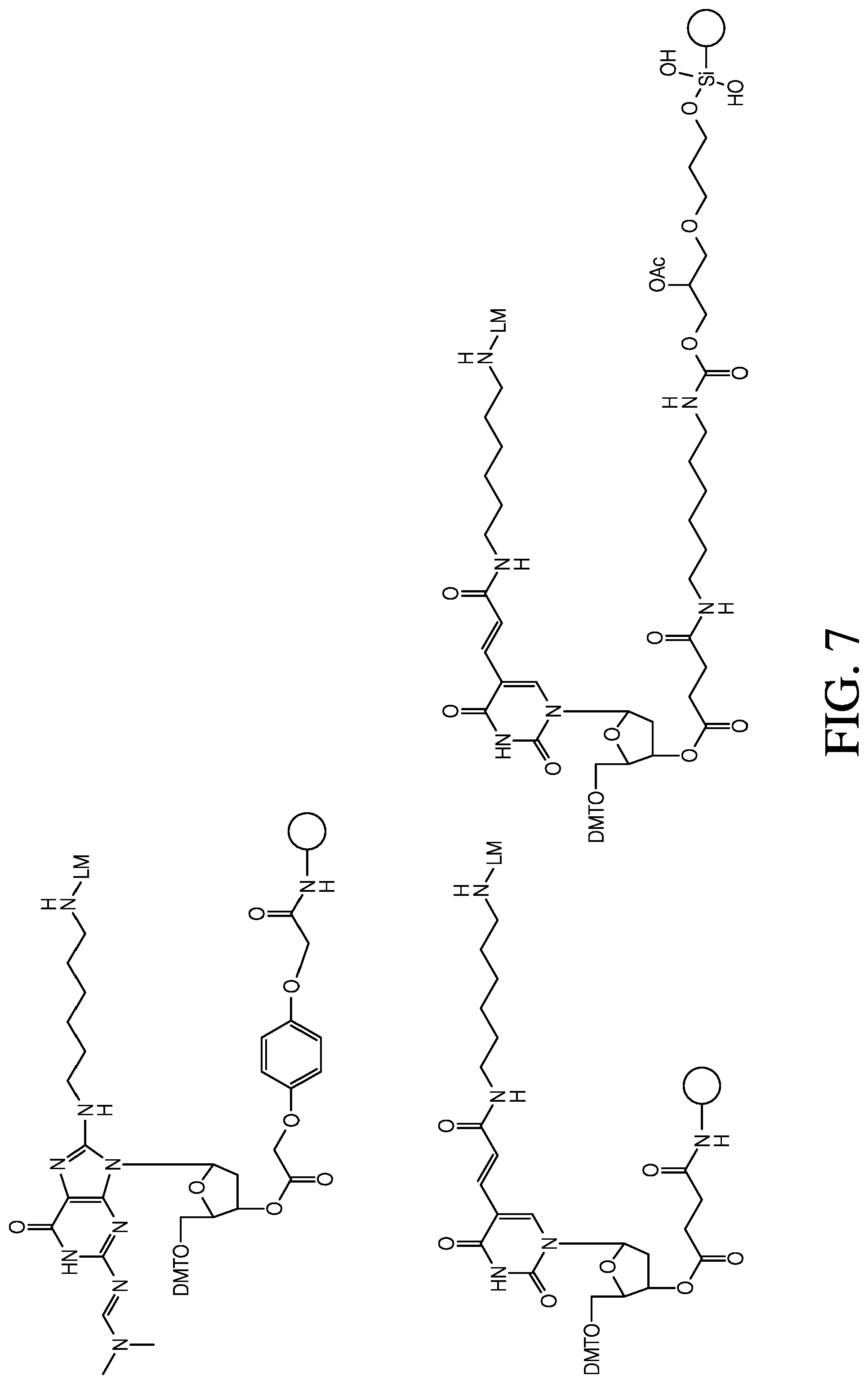 Patent US12410181 Figure 7 – Modified rhodamine dye and use thereof in biological assays