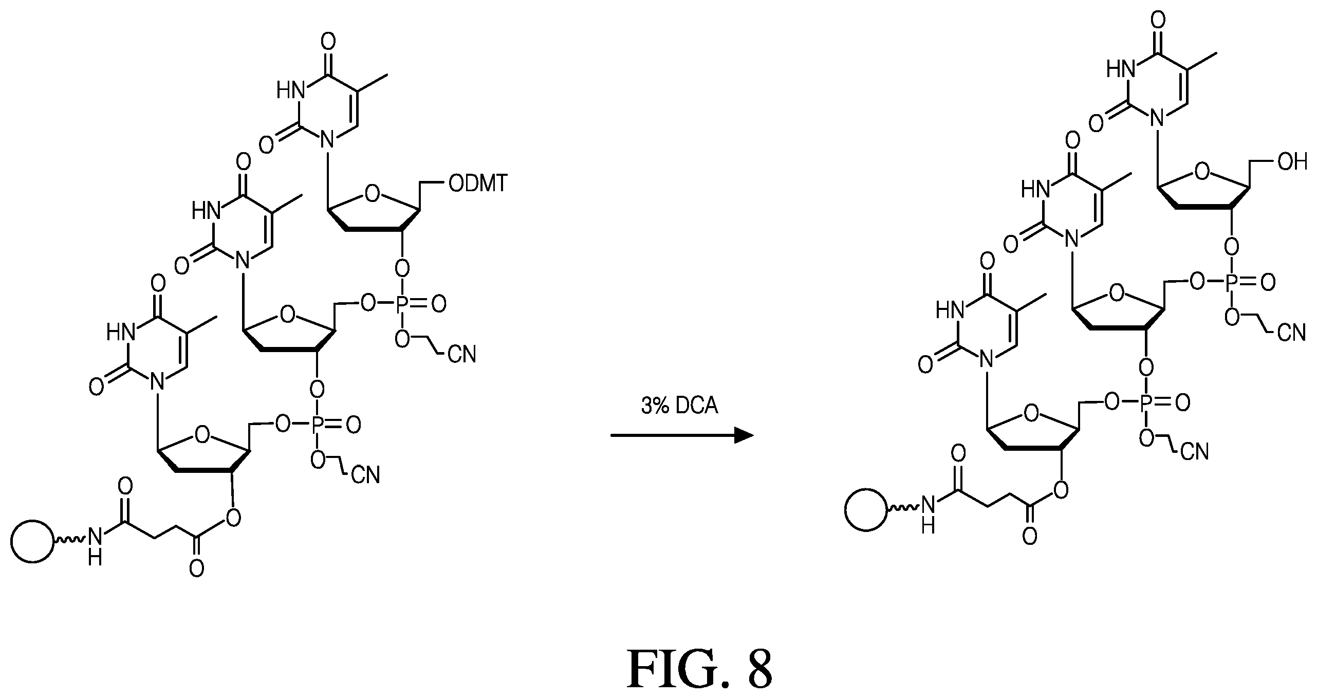 Patent US12410181 Figure 8 – Modified rhodamine dye and use thereof in biological assays