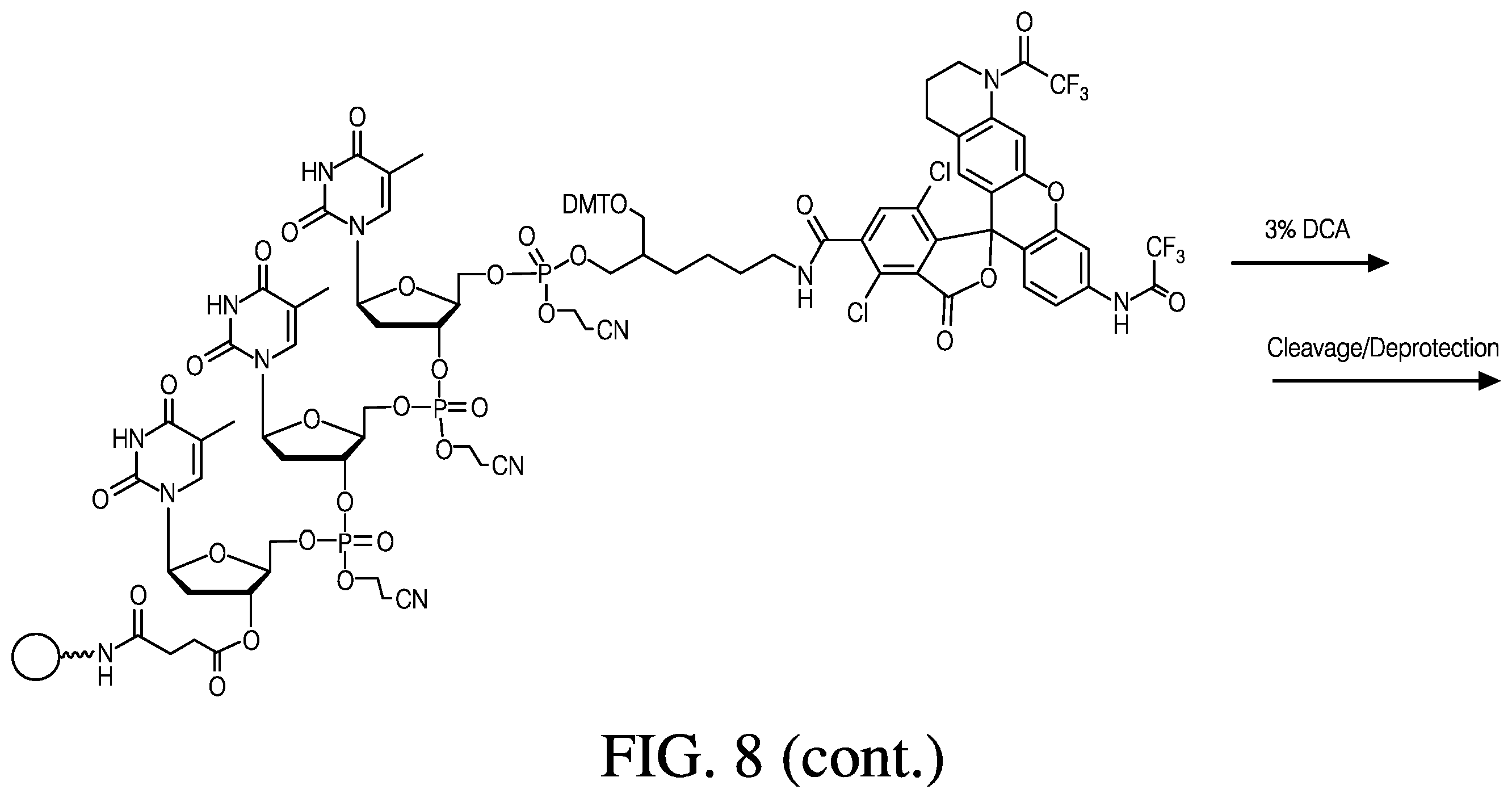 Patent US12410181 Figure 10 – Modified rhodamine dye and use thereof in biological assays