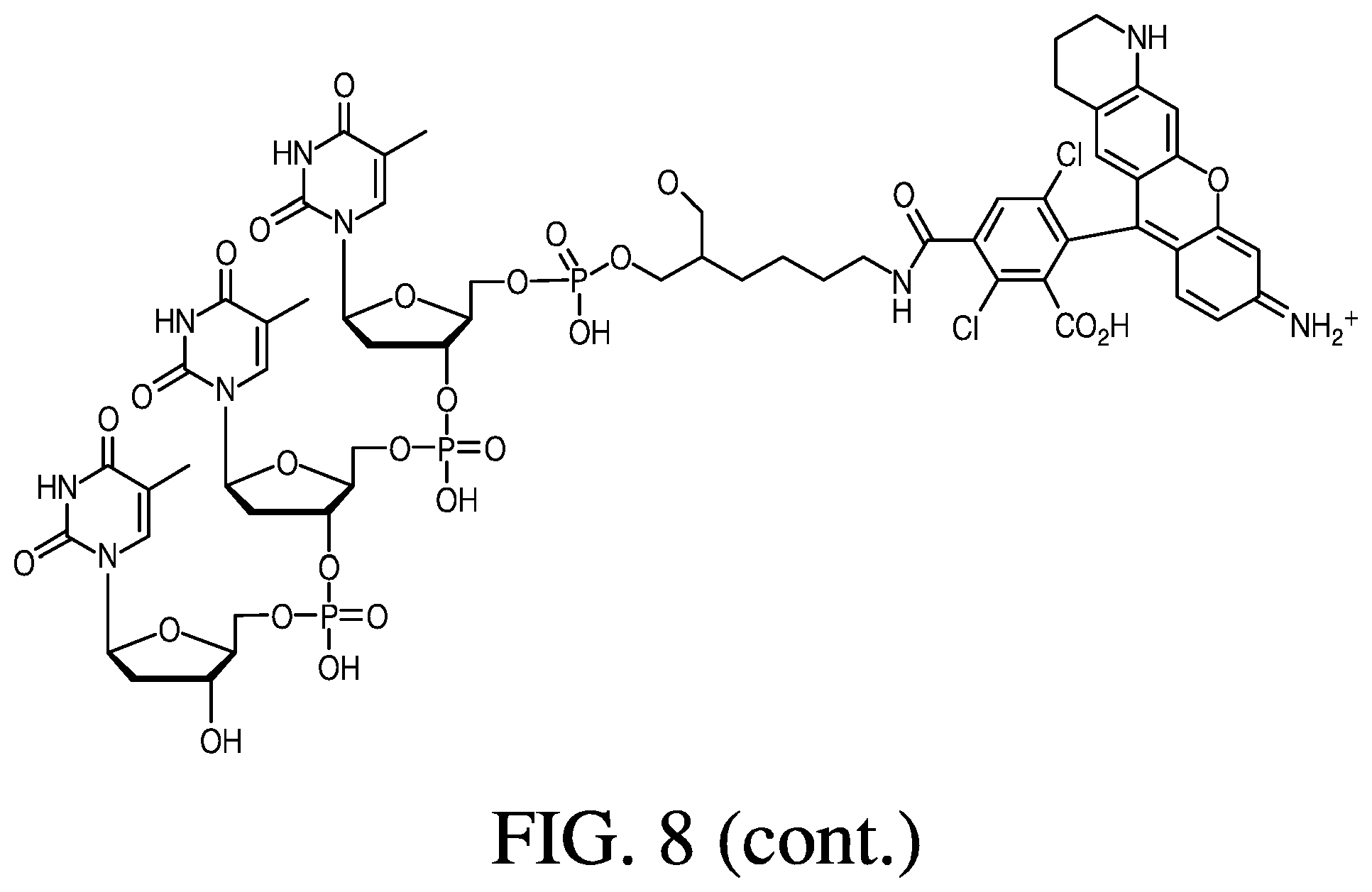 Patent US12410181 Figure 11 – Modified rhodamine dye and use thereof in biological assays