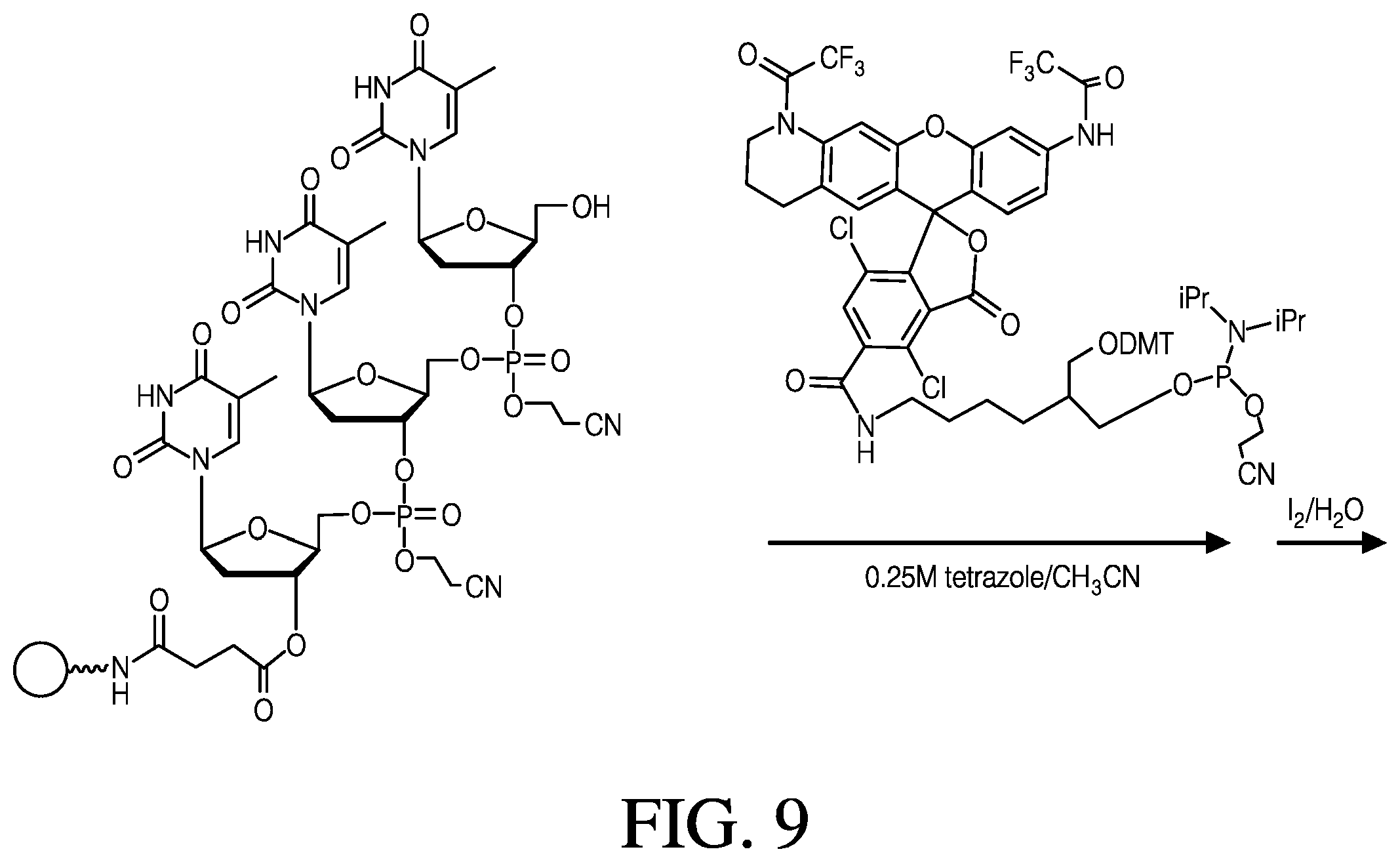 Patent US12410181 Figure 12 – Modified rhodamine dye and use thereof in biological assays