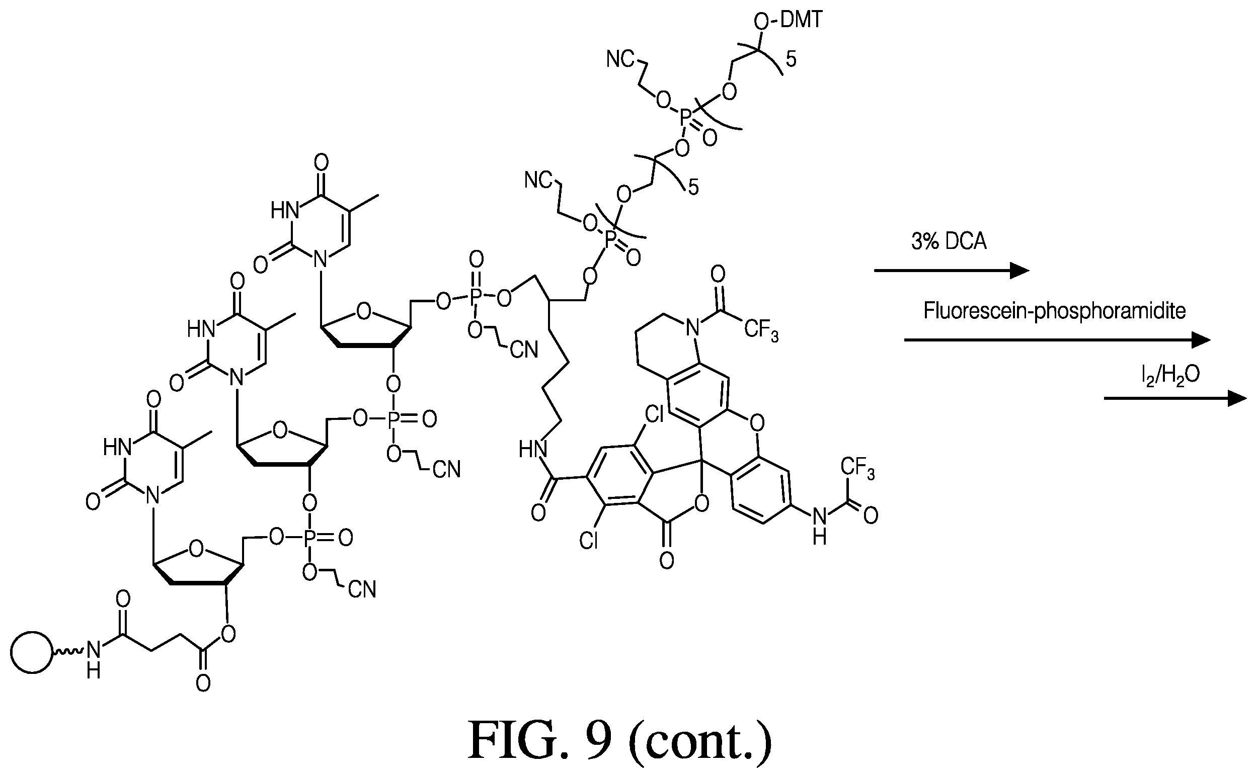 Patent US12410181 Figure 14 – Modified rhodamine dye and use thereof in biological assays