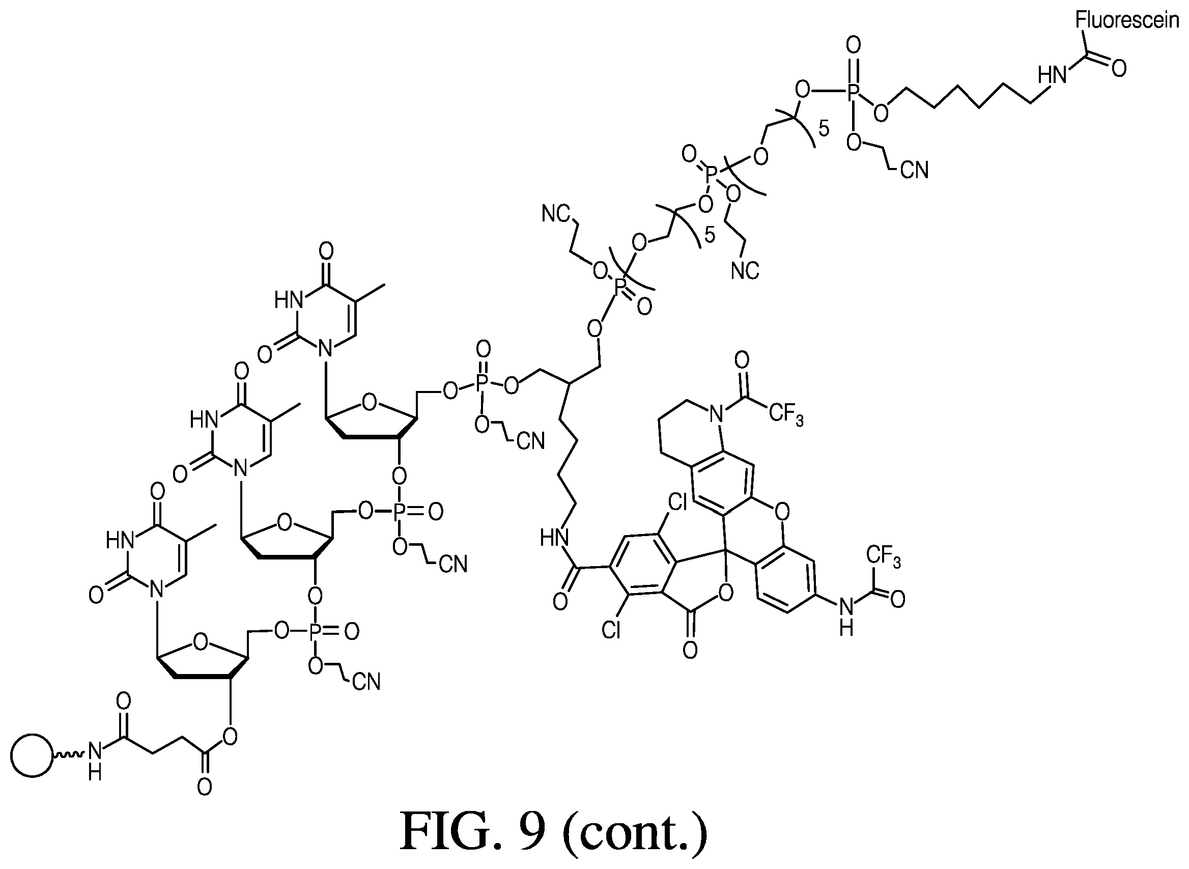 Patent US12410181 Figure 15 – Modified rhodamine dye and use thereof in biological assays