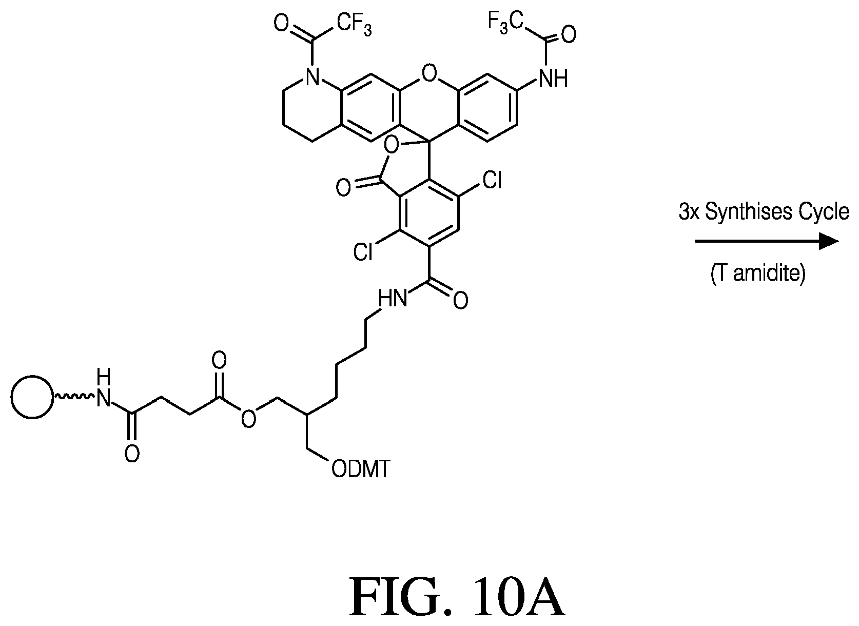 Patent US12410181 Figure 17 – Modified rhodamine dye and use thereof in biological assays