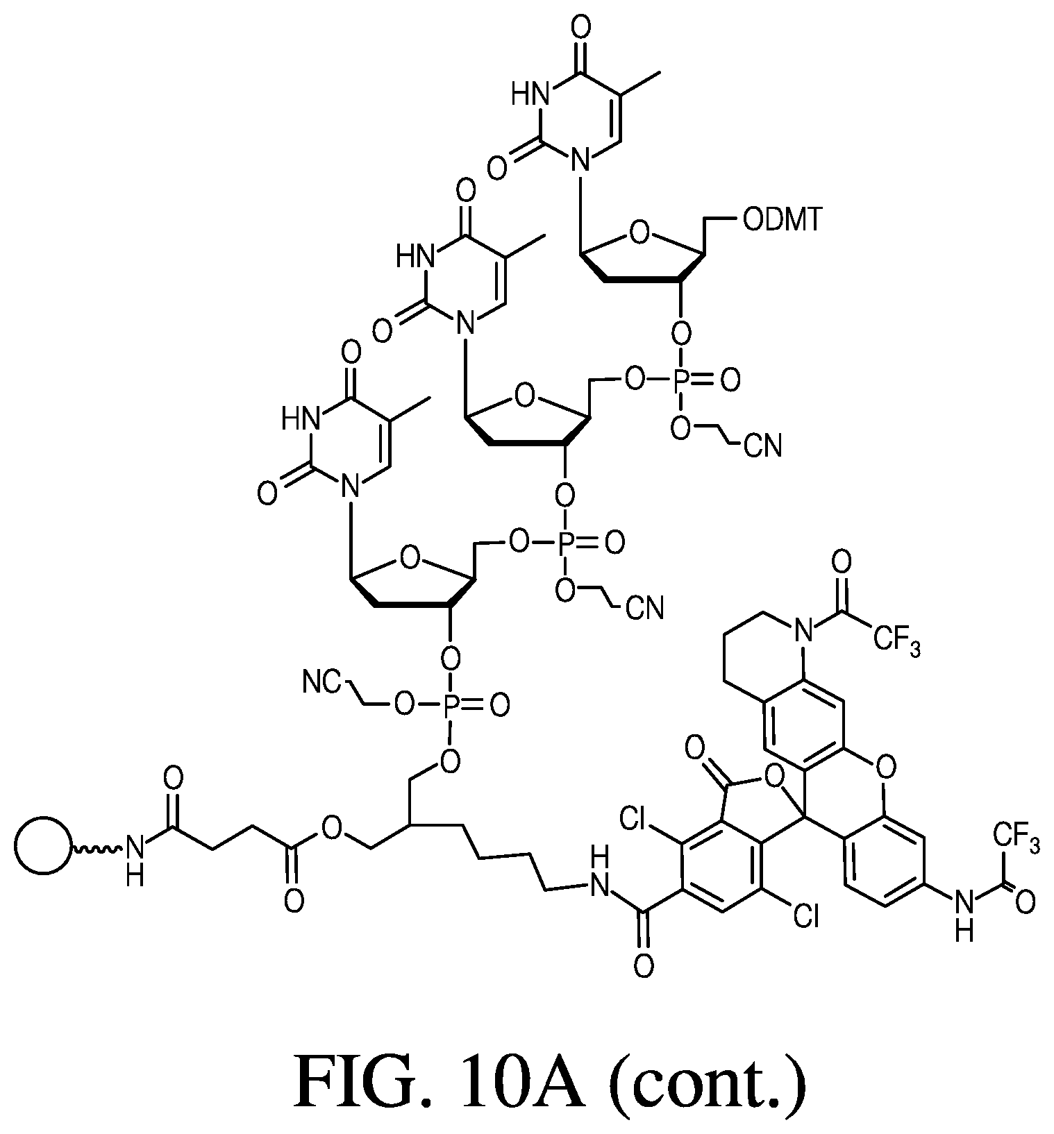 Patent US12410181 Figure 18 – Modified rhodamine dye and use thereof in biological assays