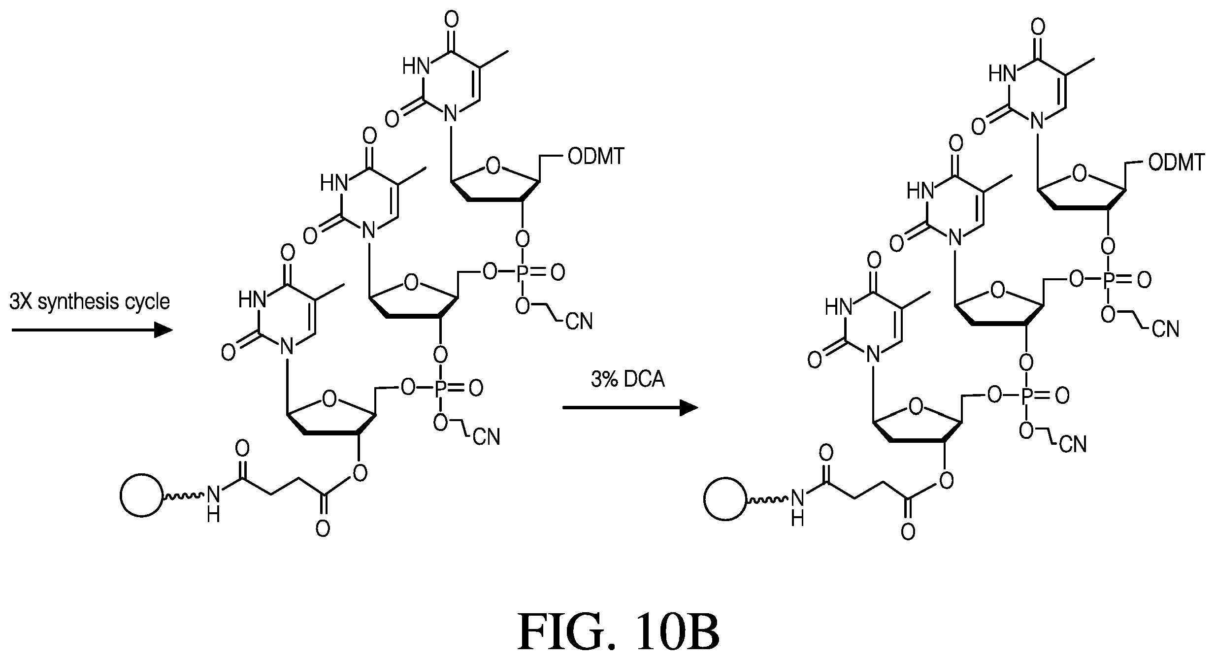 Patent US12410181 Figure 20 – Modified rhodamine dye and use thereof in biological assays