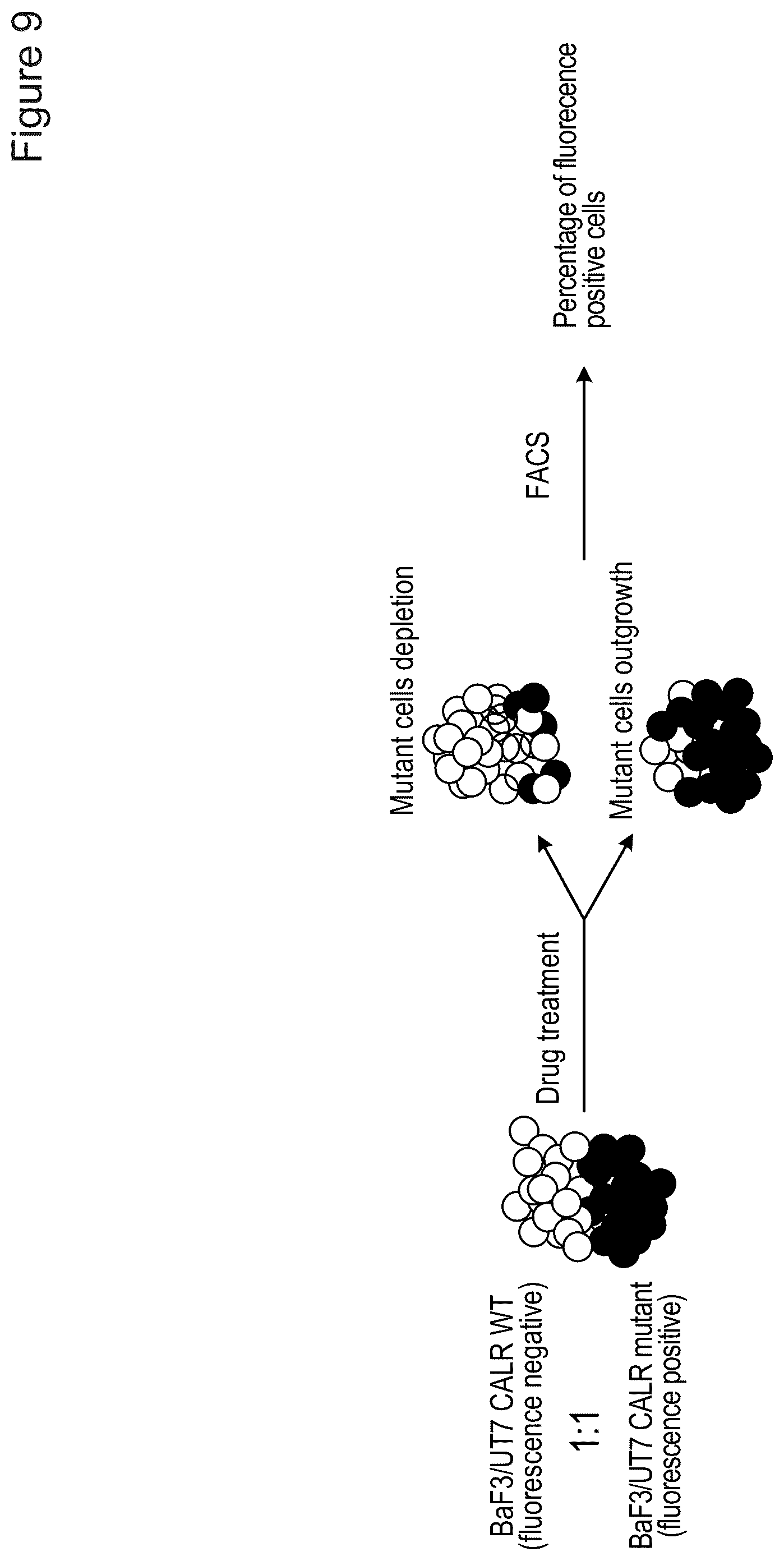 Patent US12410185 Figure 9 – Compounds targeting mutant calreticulin