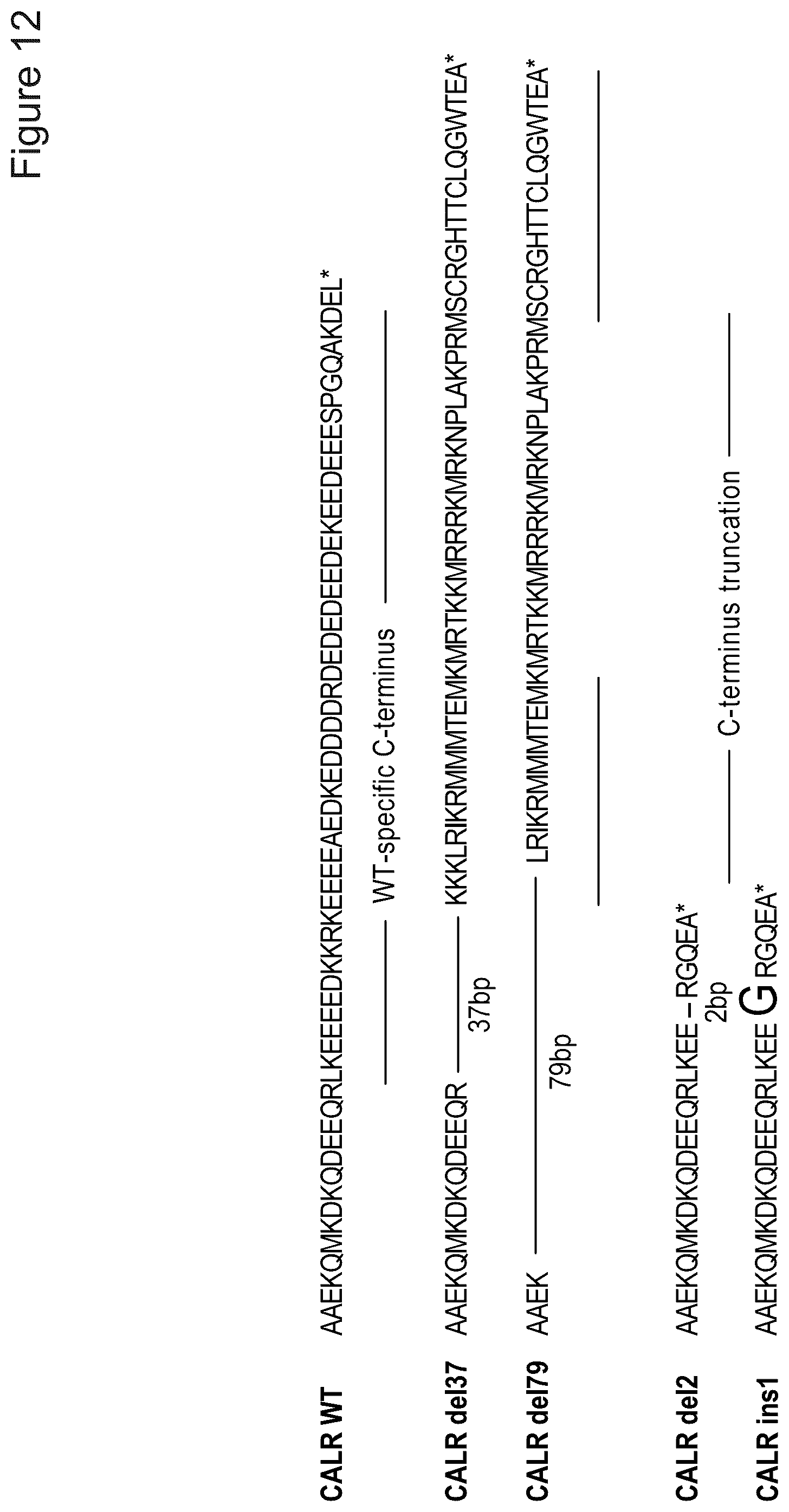 Patent US12410185 Figure 12 – Compounds targeting mutant calreticulin