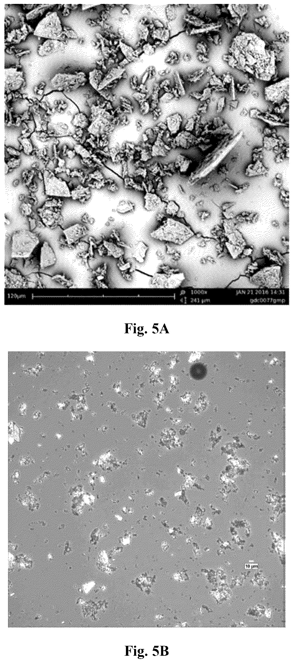 Patent US12410189 Figure 5 – Polymorphs and solid forms of (S)-2-2((2-((S)-4-(difluoromethyl)-2-oxooxazolidin-3-yl)-5,6-dihydrobenzo[f]imidazo[1,2-d][1,4]oxazepin-9- yl)amino)propanamide, and methods of production
