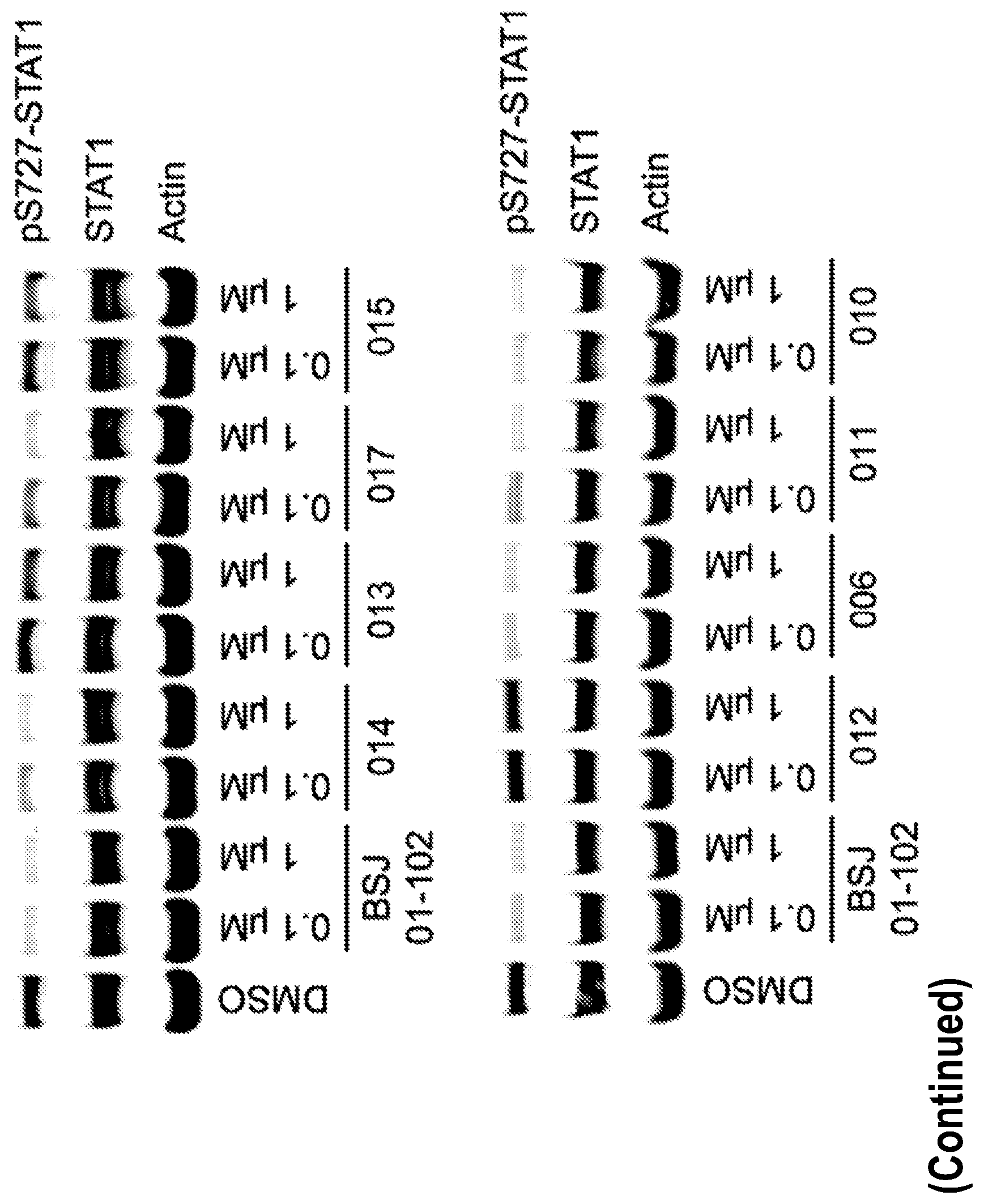 Patent US12410194 Figure 2 – Potent and selective azaindole inhibitors of CDK8 and CDK19
