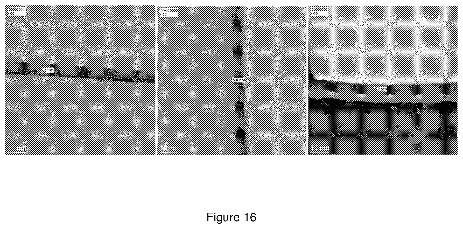 Patent US12410202 Figure 16 – Group V and VI transition metal precursors for thin film deposition