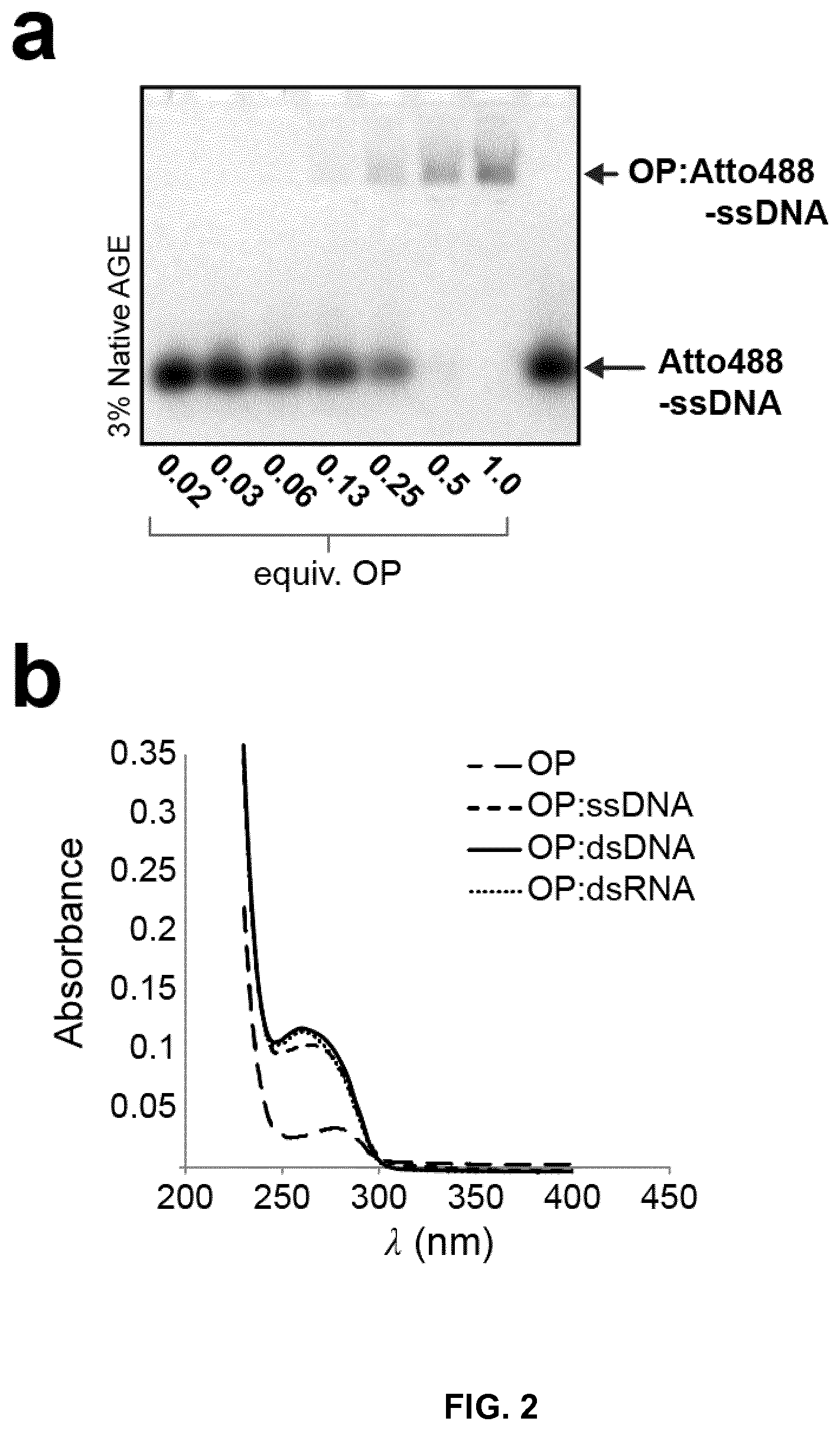 Patent US12410213 Figure 2 – Polypeptides self-assembling into nanoparticles