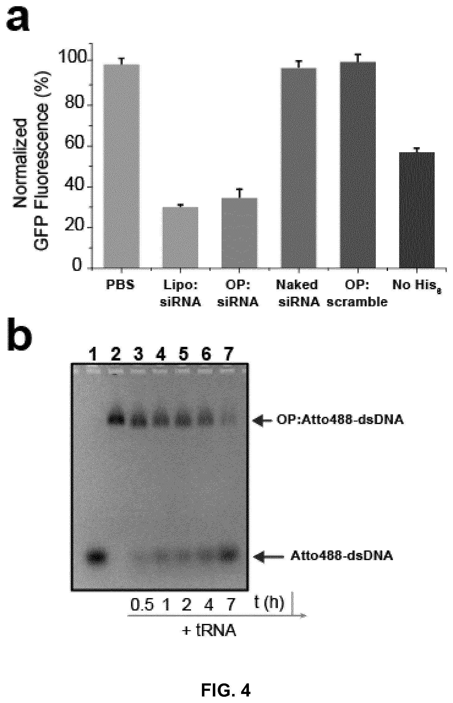 Patent US12410213 Figure 7 – Polypeptides self-assembling into nanoparticles