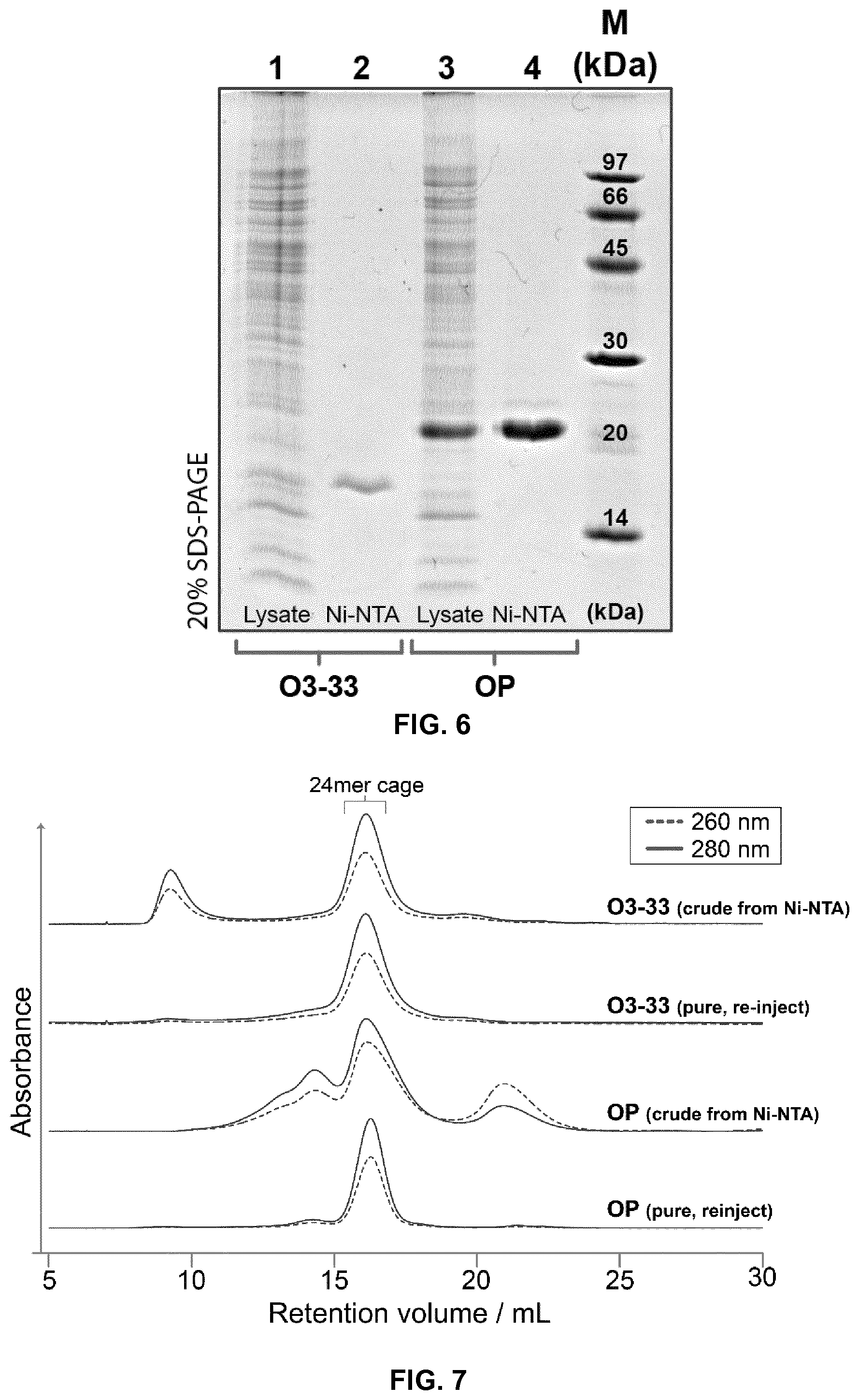 Patent US12410213 Figure 9 – Polypeptides self-assembling into nanoparticles