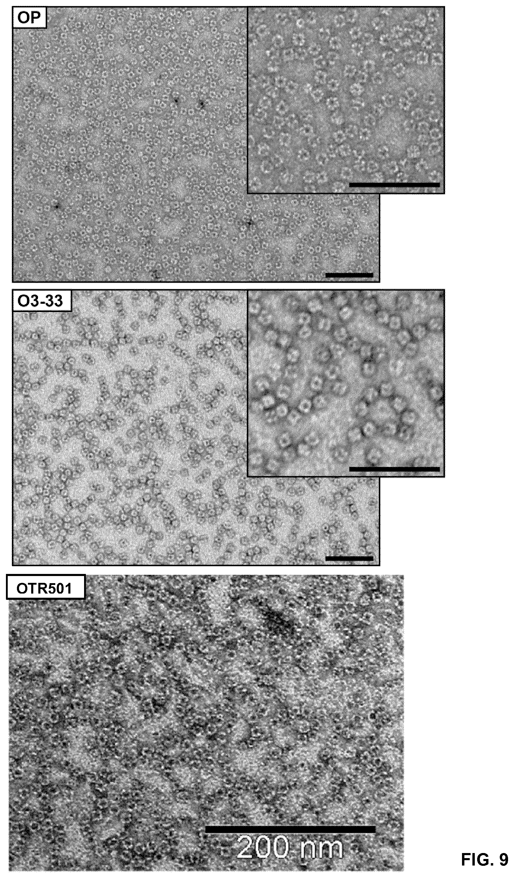Patent US12410213 Figure 11 – Polypeptides self-assembling into nanoparticles