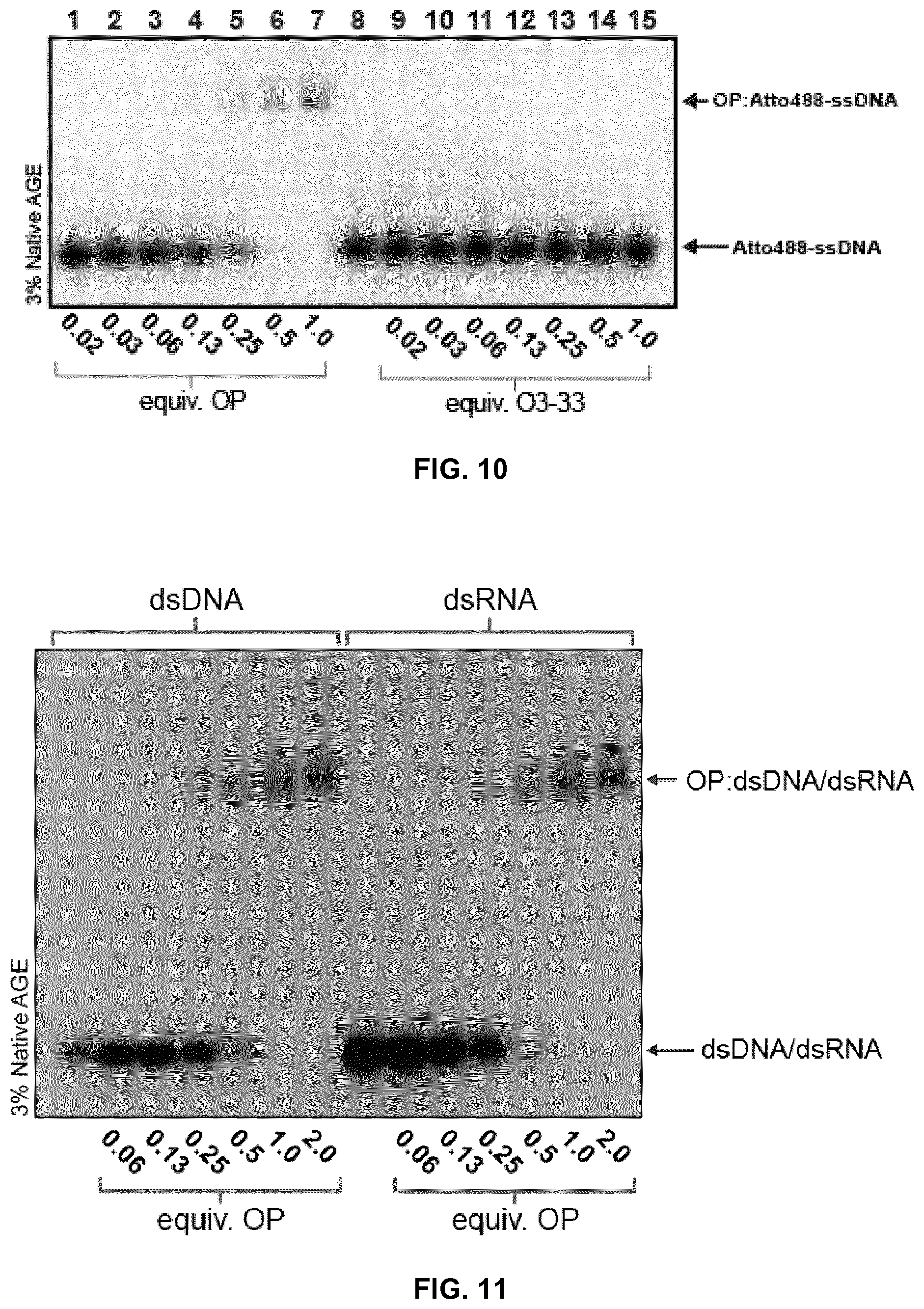 Patent US12410213 Figure 12 – Polypeptides self-assembling into nanoparticles
