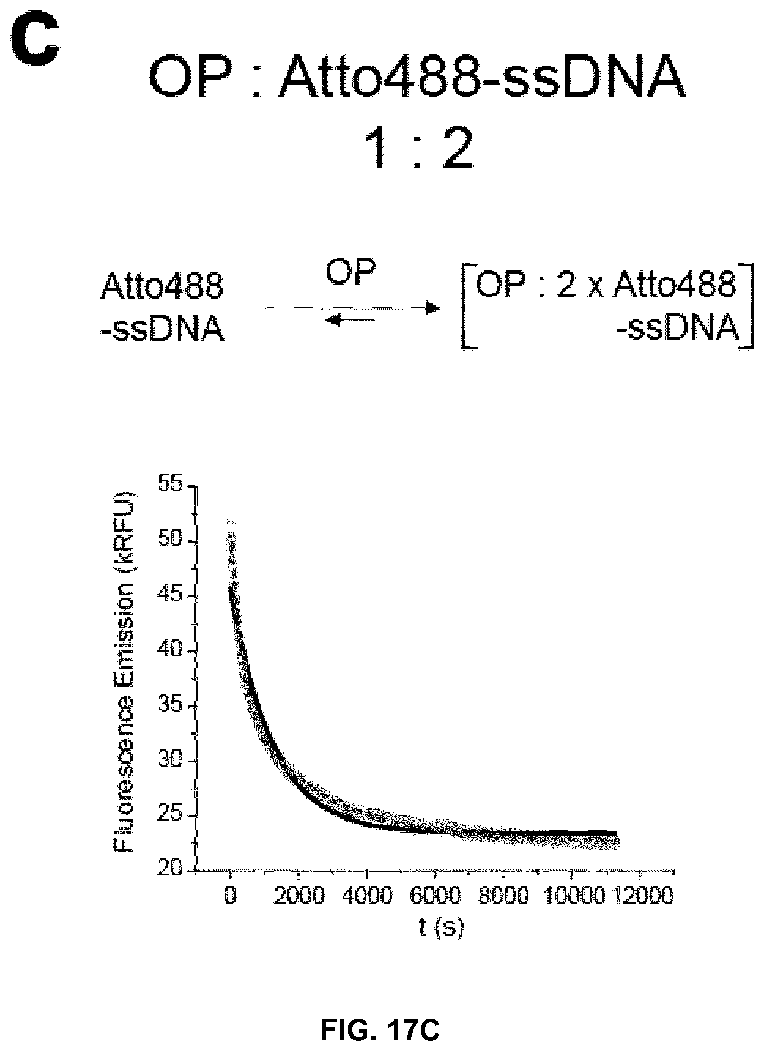 Patent US12410213 Figure 20 – Polypeptides self-assembling into nanoparticles