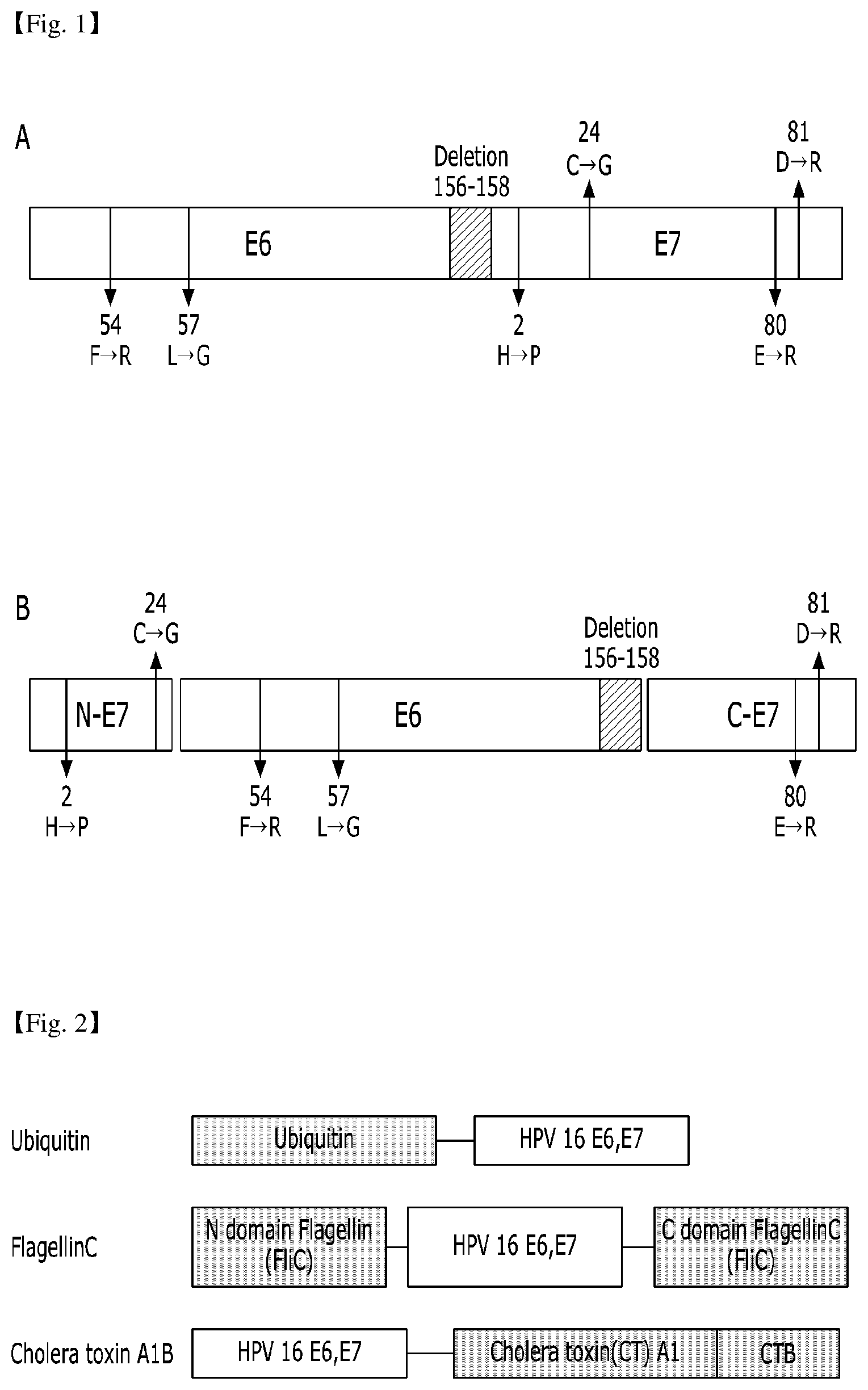 Patent US12410214 Figure 1 – Structurally modified chimeric polypeptide of human papillomavirus, recombinant protein comprising same polypeptide, and use of same protein