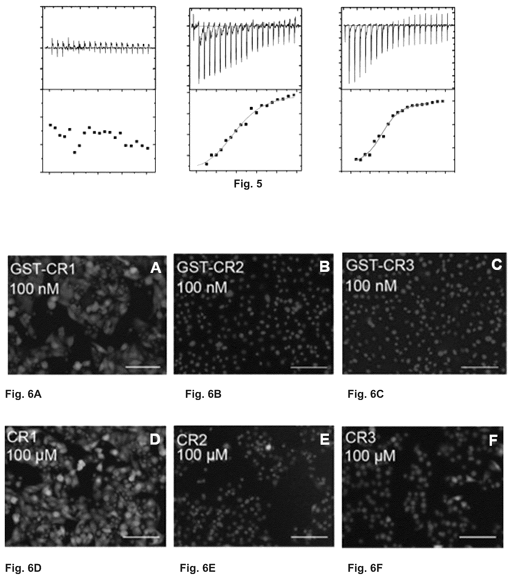 Patent US12410216 Figure 3 – Mutated glycoprotein of vesicular stomatitis virus